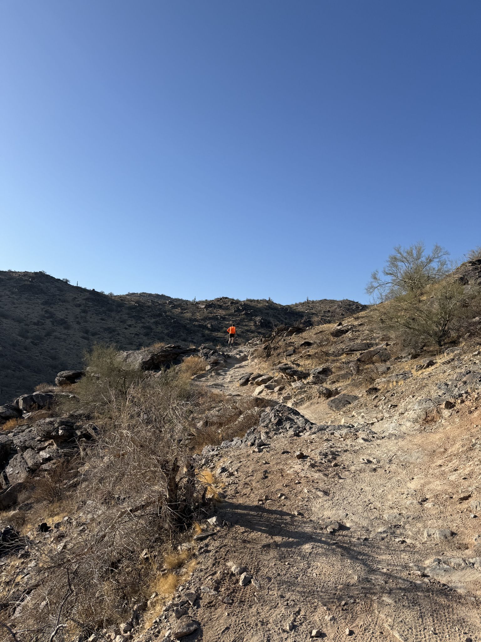 Person walks uphill on a rocky desert trail under a clear blue sky. - Sun Circle Trail
