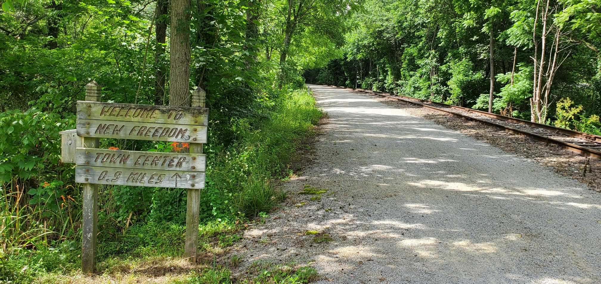 A gravel path and railroad tracks run through a sunlit green forest. - York County Heritage Rail Trail