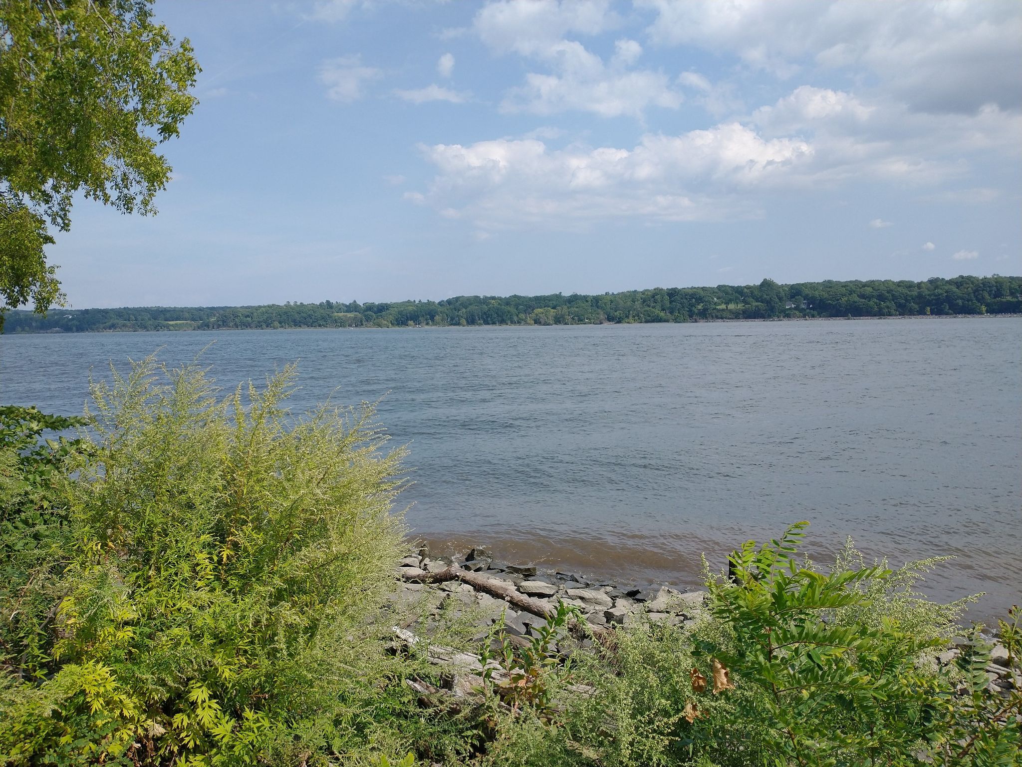Wide river with rocky shore, green bushes, and distant treeline under cloudy sky. - Rondout Creek loop from Kingston