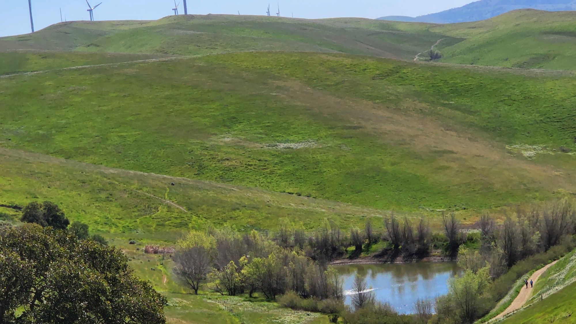 Green rolling hills with a pond and distant wind turbines under a bright sky. - Brushy Peak Loop Trail loop from Brushy Peak Regional Park