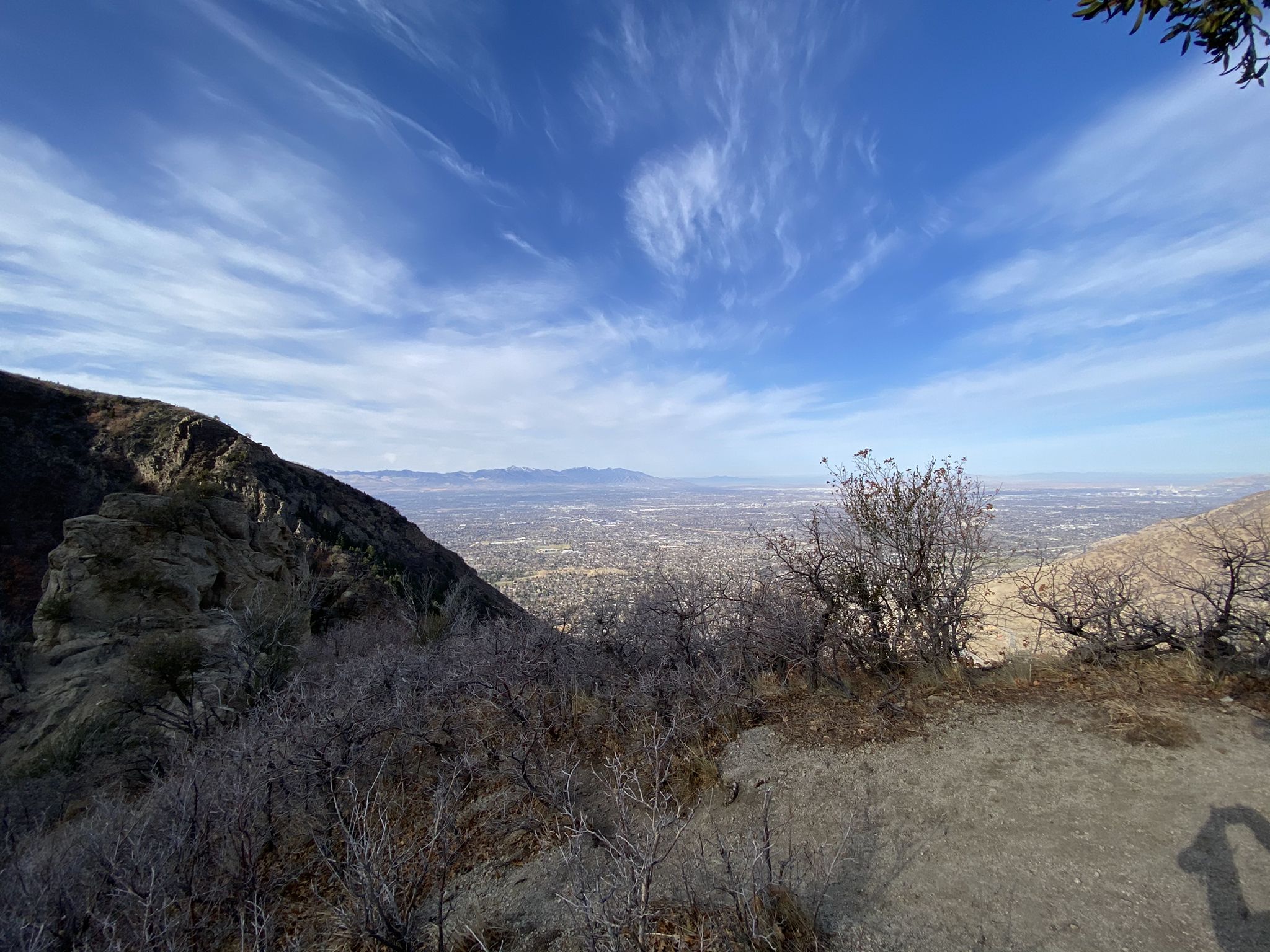 Rocky hillside and bare trees overlook a distant city under a bright blue sky. - Ferguson Canyon Trail