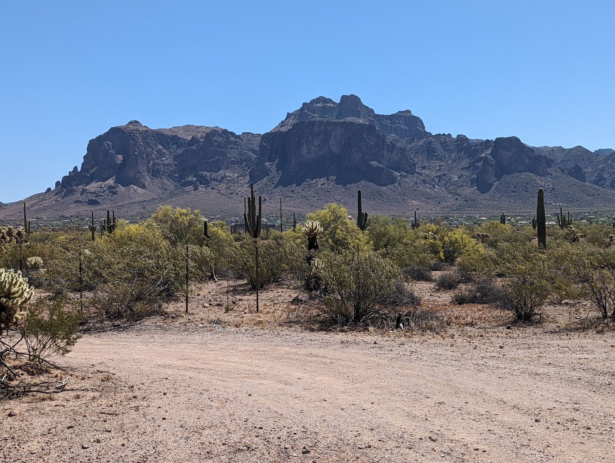 Desert landscape with large rugged mountains, cacti, and shrubs under bright sun. - Goldfield Ghost Town and Lost Dutchman State Park via the Apache Trail loop