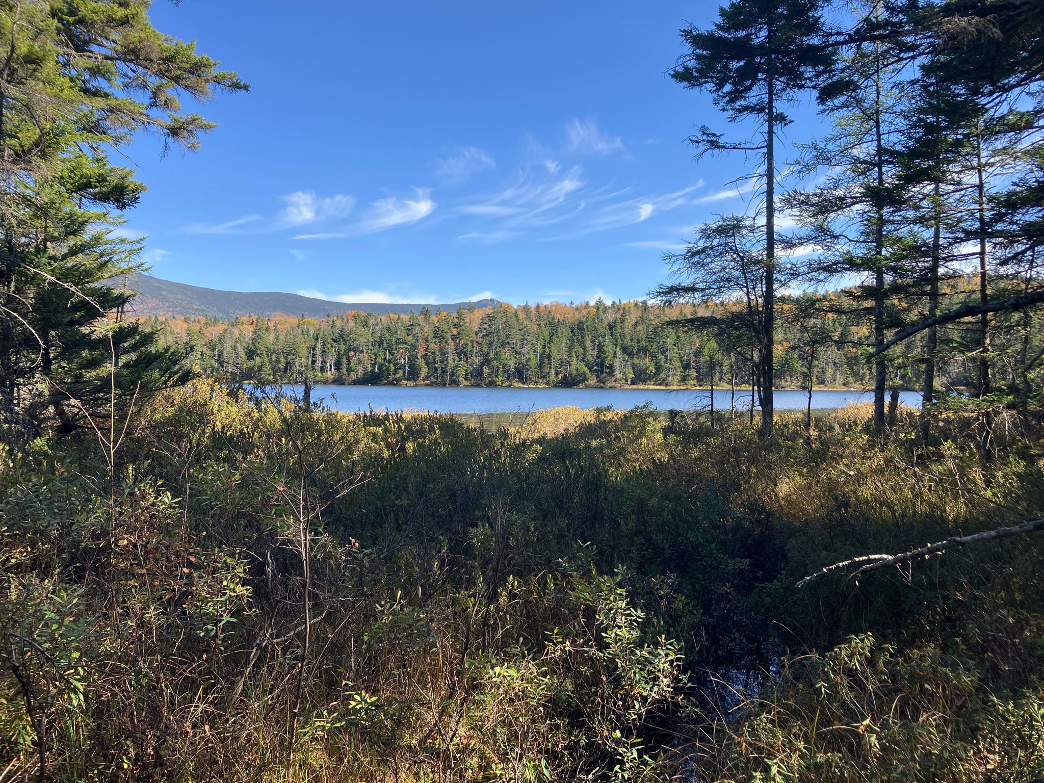 Lake framed by trees and bushes, with distant mountains under a blue sky. - Hi-Cannon and Lonesome Lake Loop