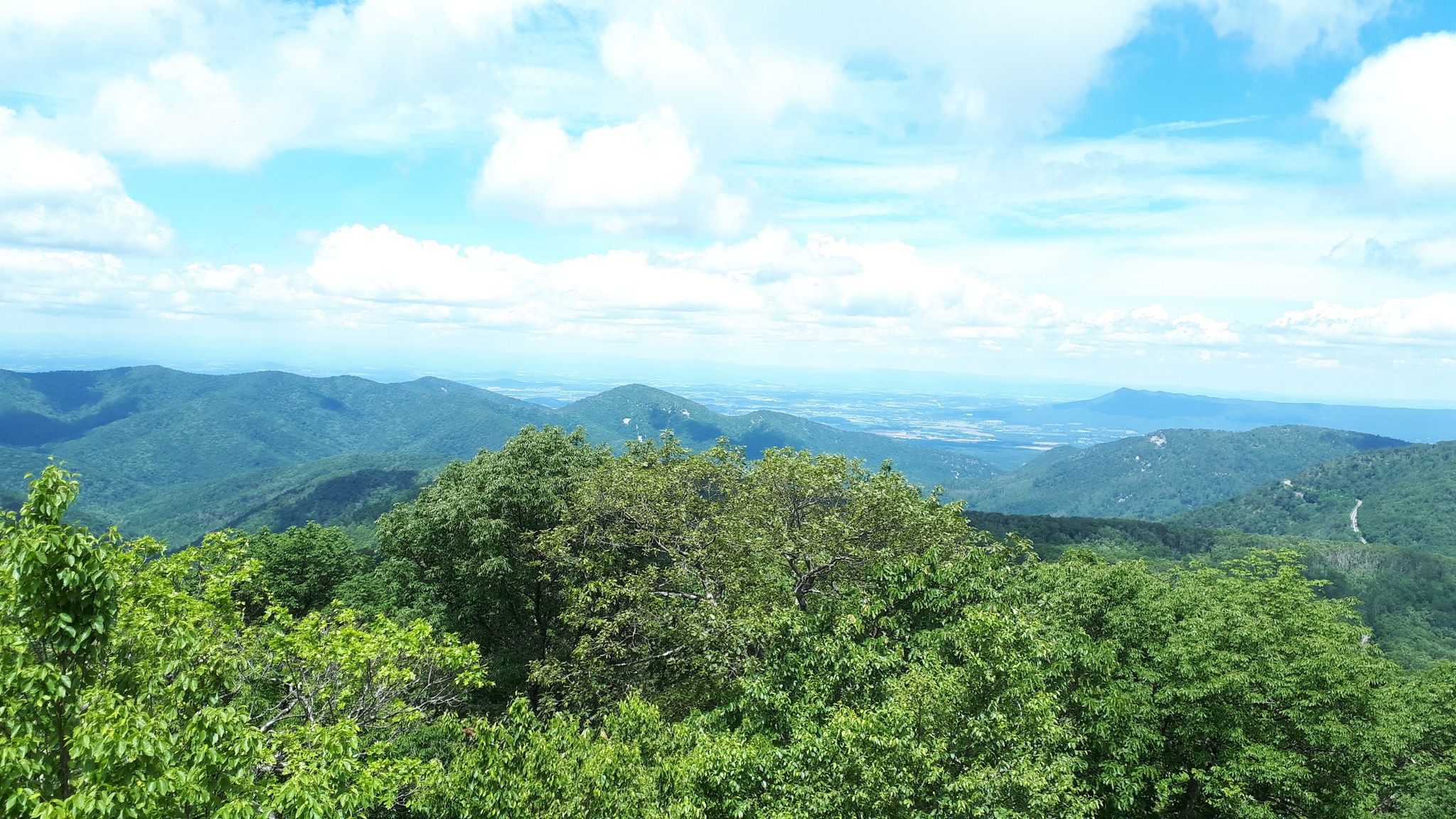 Expansive view of rolling green mountains under a bright blue sky with clouds. - Frazier Discovery Trail
