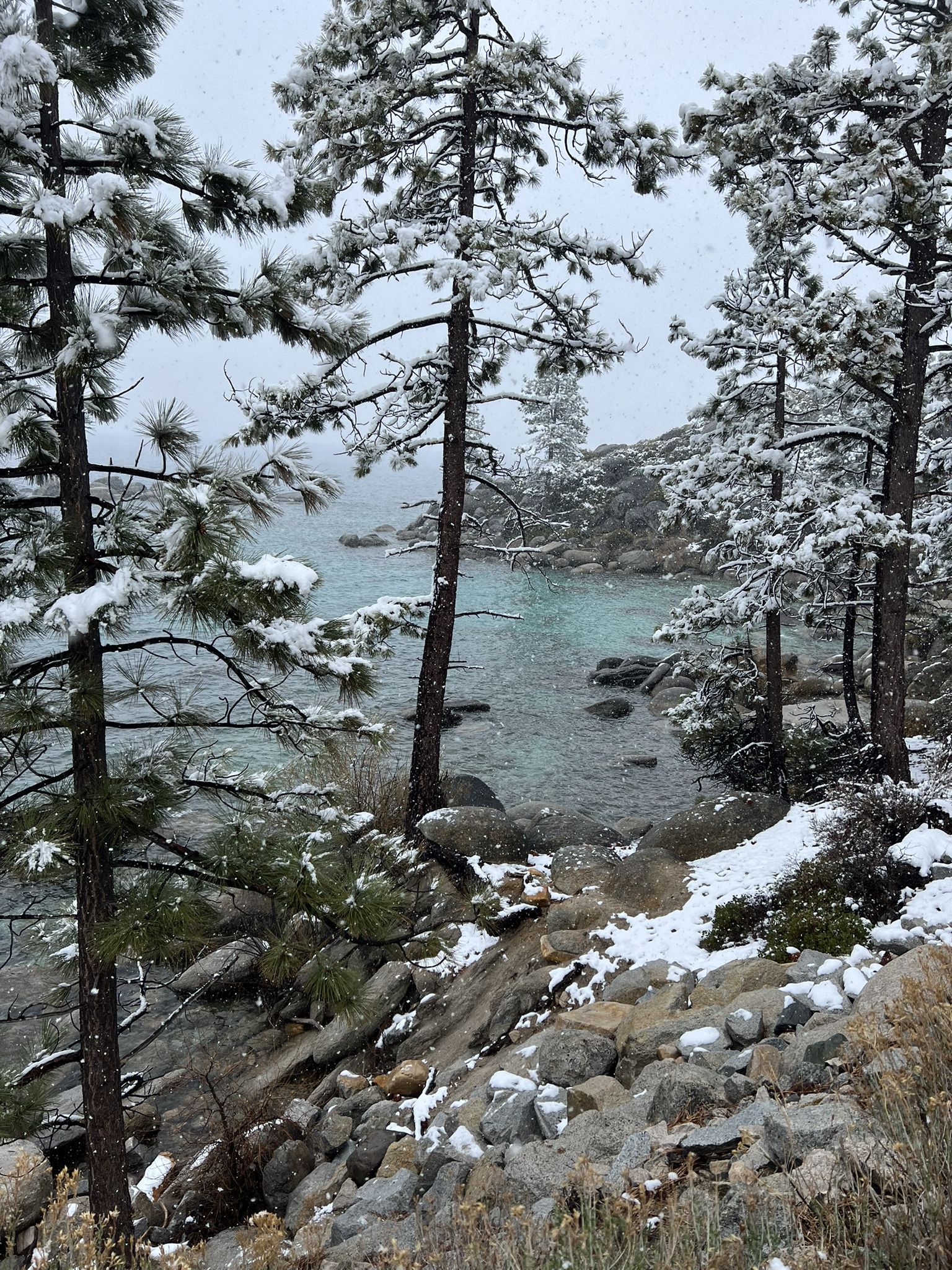 Snow-covered pine trees, rocky shore, clear turquoise water, overcast winter day. - Tahoe East Shore Trail
