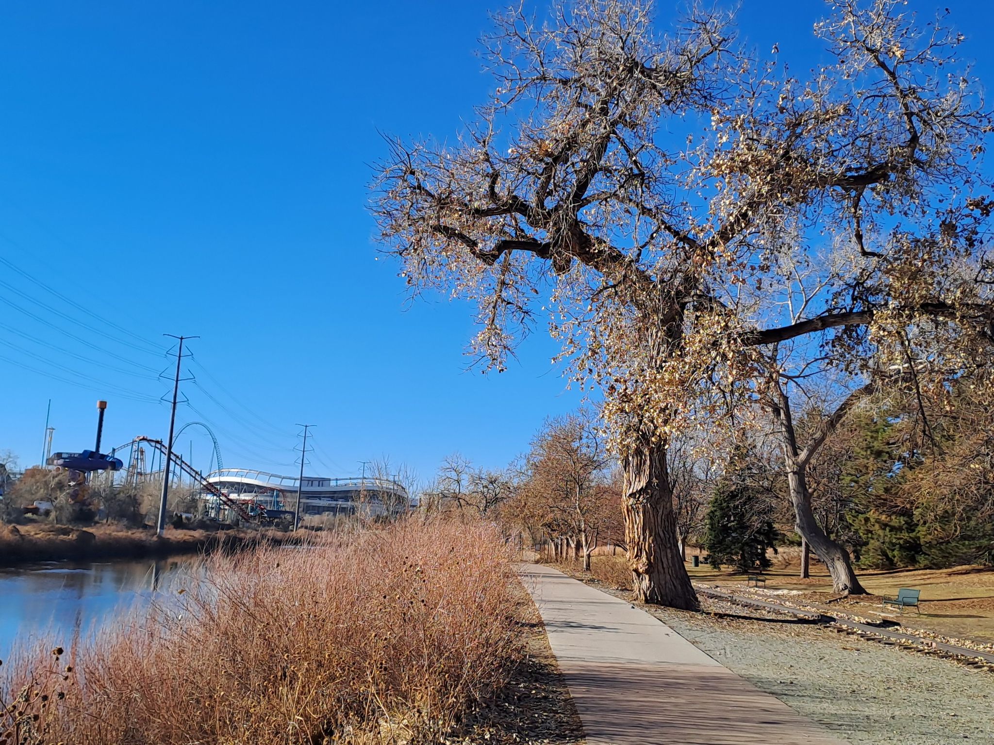Paved path next to a river, bare trees, clear blue sky, distant amusement park. - Mary Carter Greenway Trail – Bridge over South Platte River loop from Arapahoe at Village Center