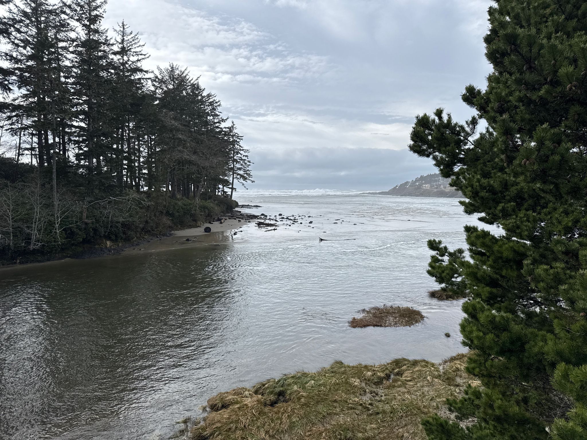 A river meets the ocean under a cloudy sky, surrounded by trees. - Oregon Coast Scenic Bikeway