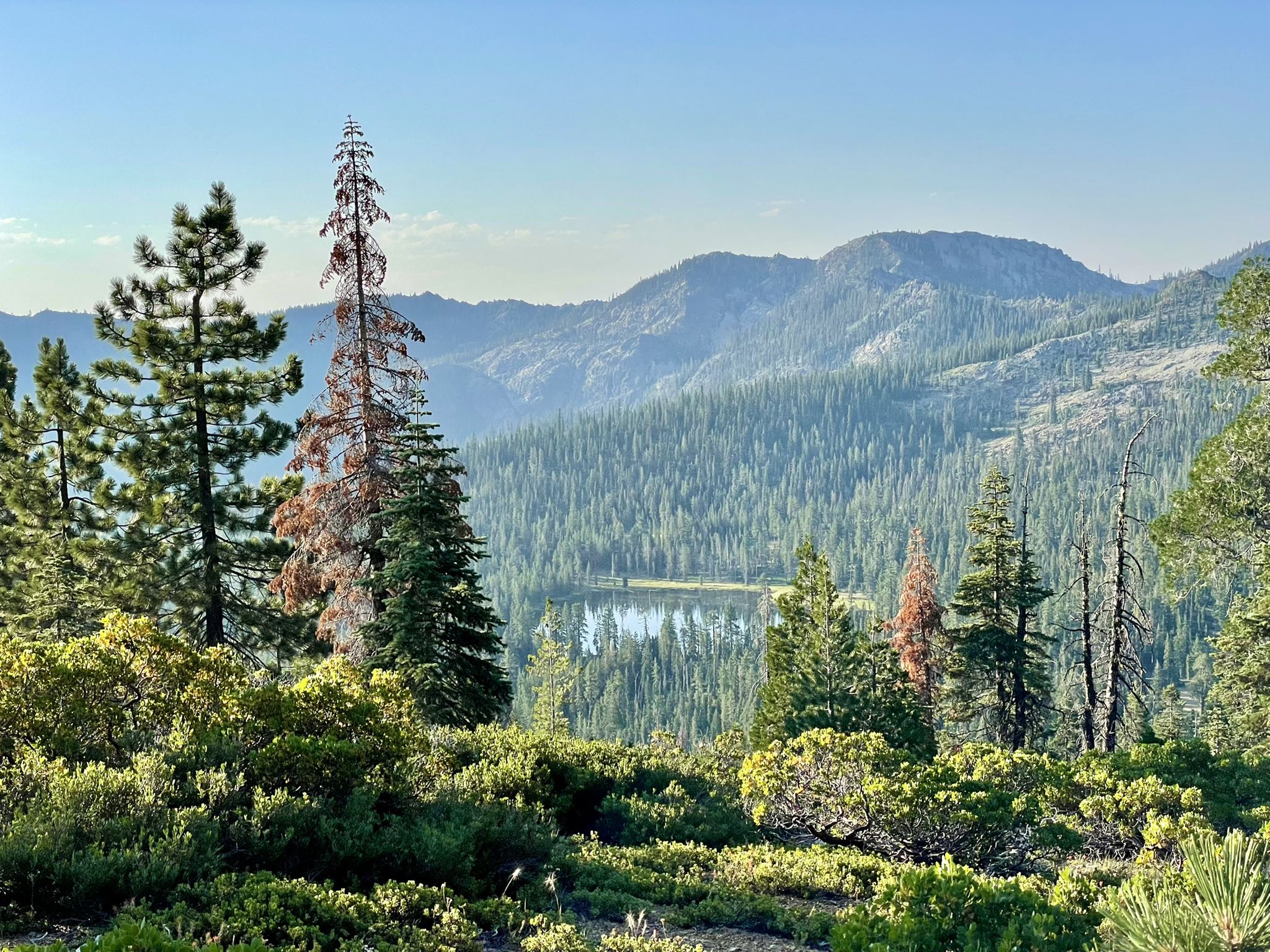 A distant lake visible through green trees and shrubs, with hazy mountains. - Porcupine Lake via Pacific Crest Trail