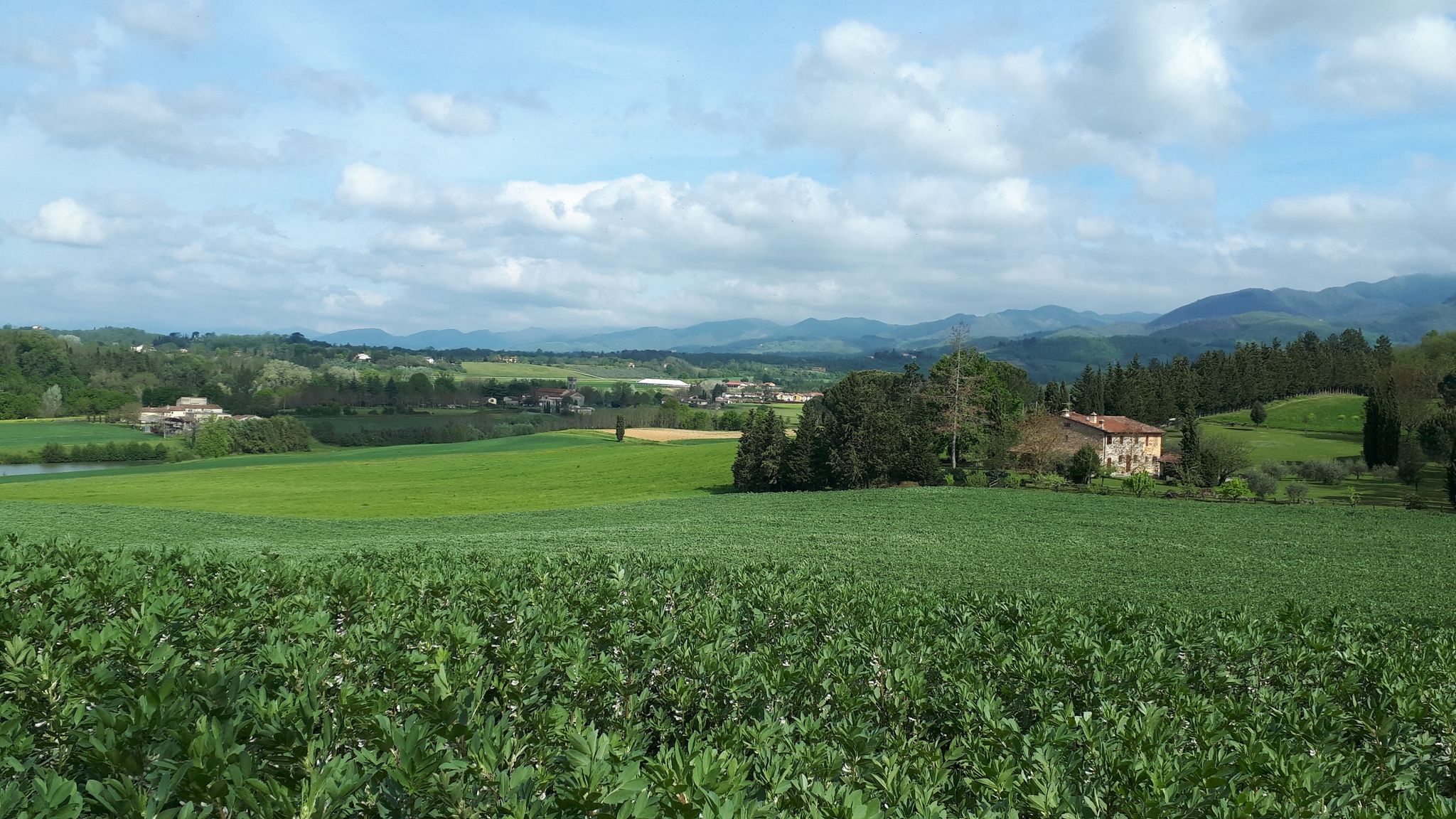 caselle