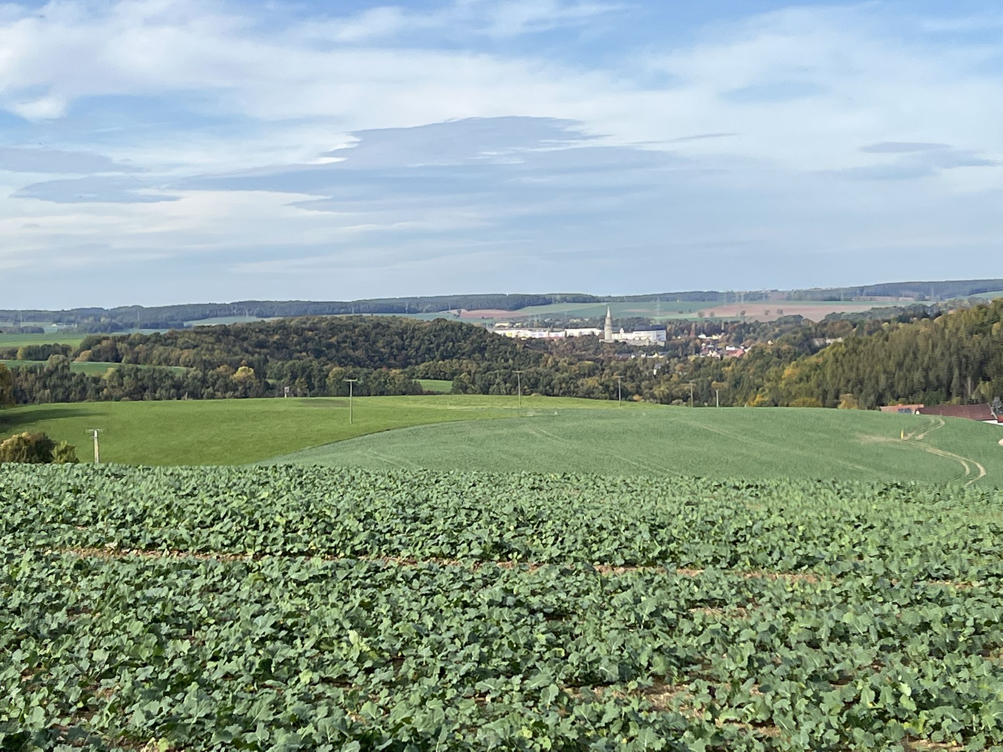 Blick zurück nach Weida