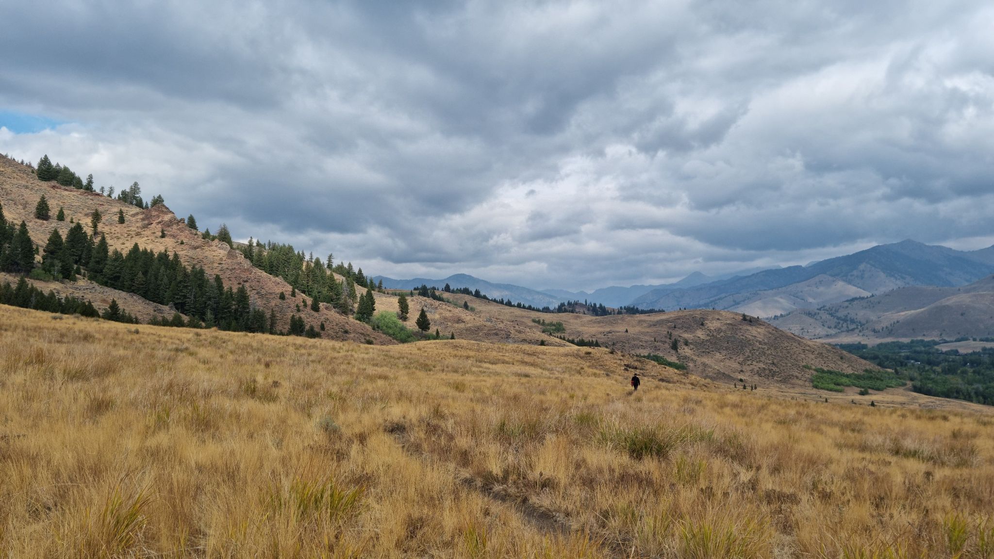 Cloudy day above Hulen Meadows