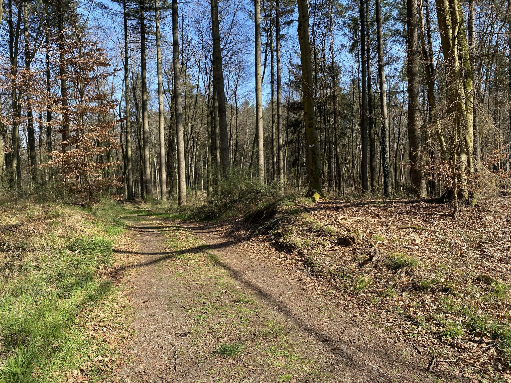 Weg durch die alte Römerstraße 