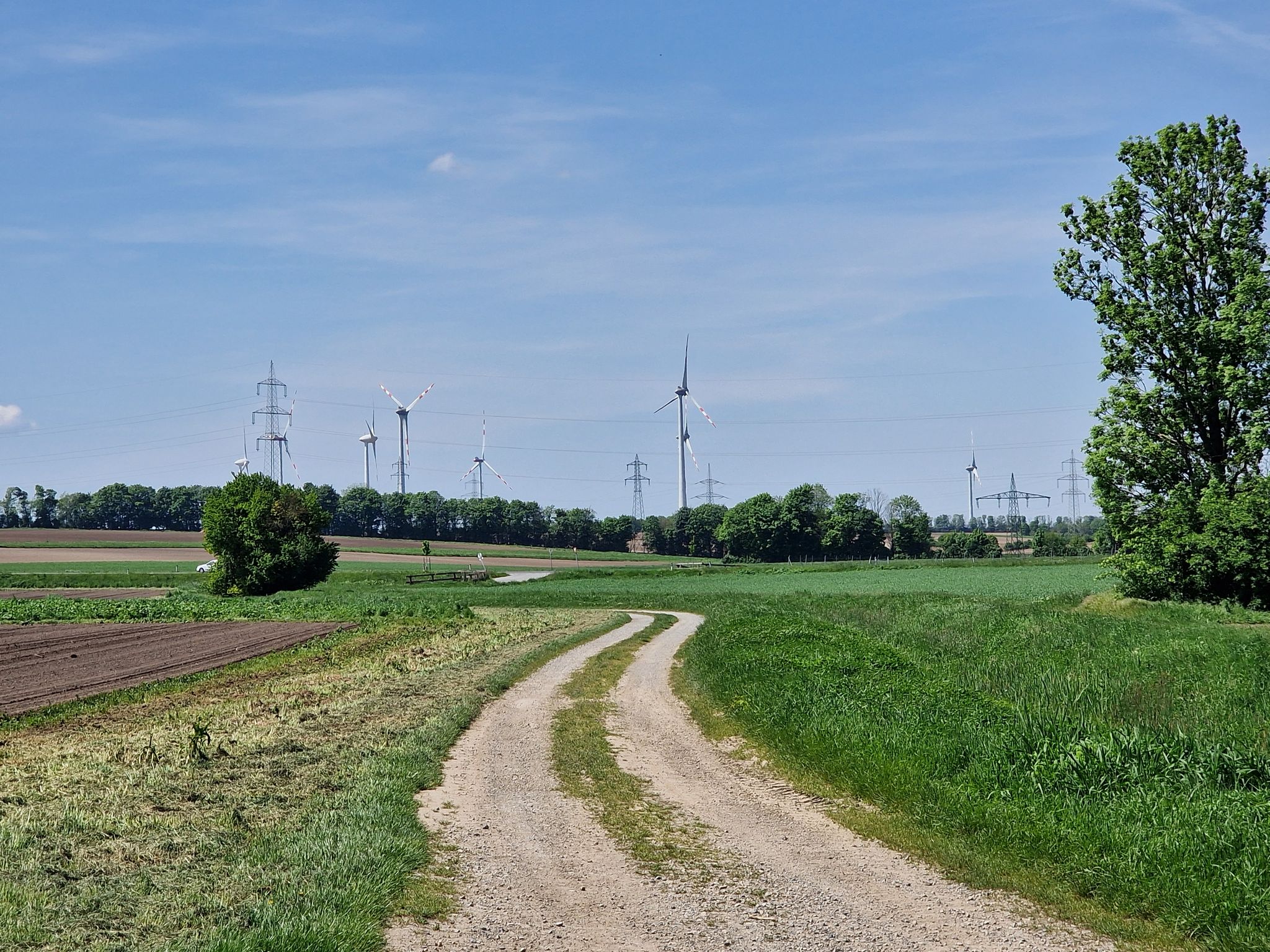 Graveln pur ...