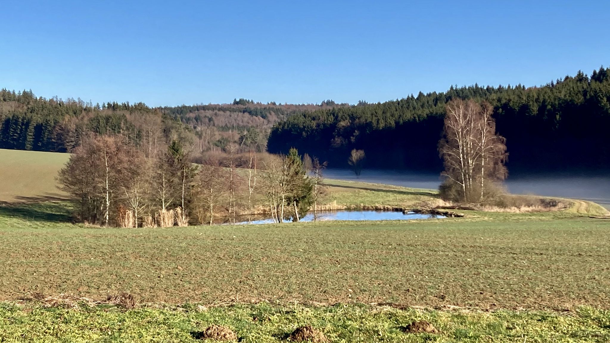 kleiner Weiher bei Egelshof ....