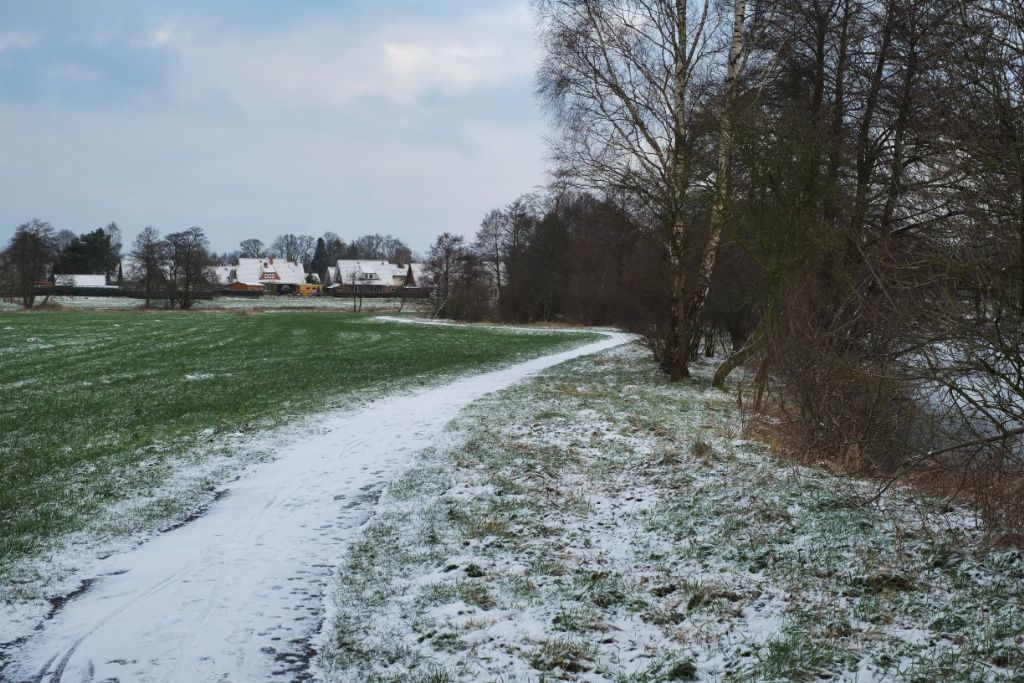 Wiesenweg am Wiesensee