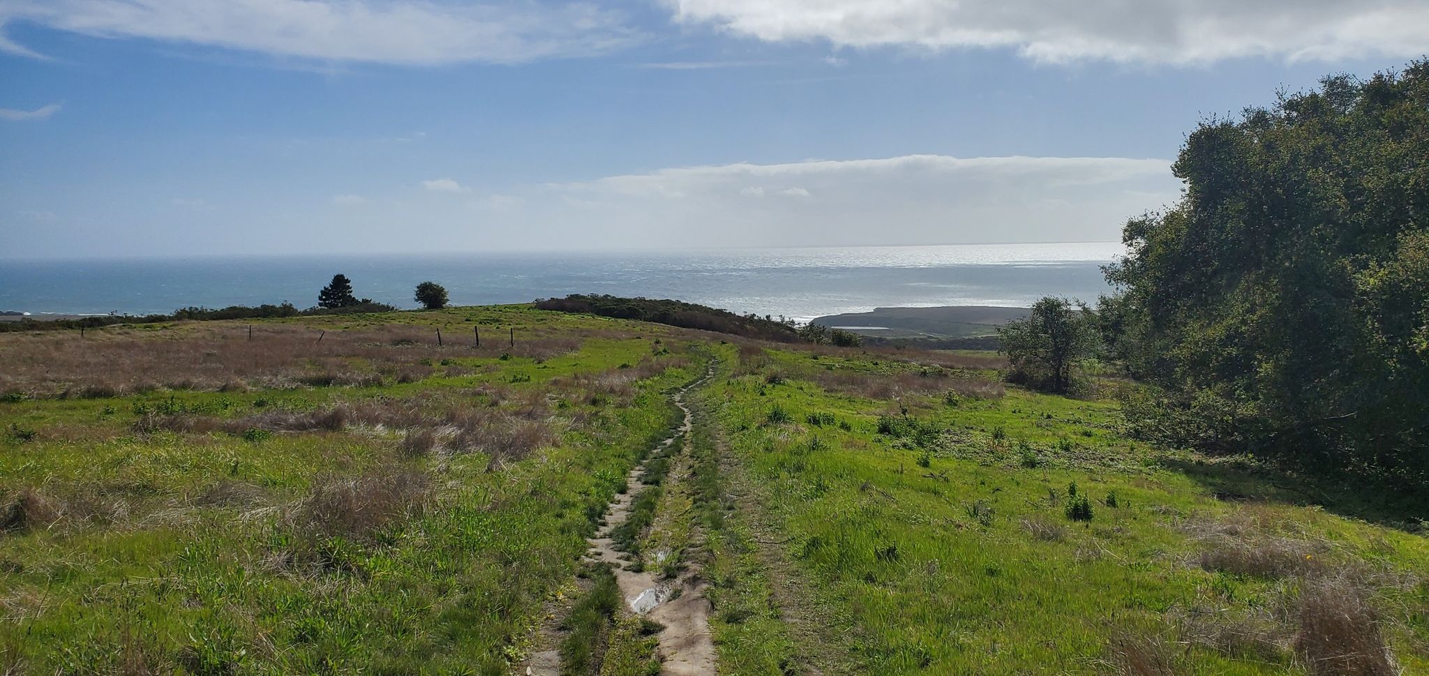 Dirt path through grassy hills leading to a distant ocean under a cloudy sky. - Enchanted Loop