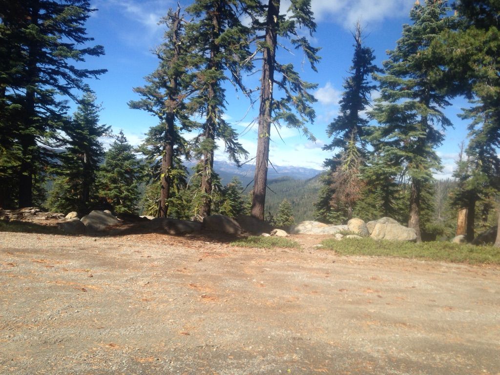 Sunny forest clearing with pine trees overlooking distant mountains. - North Star to Tahoe Rim Trail gravel ride loop