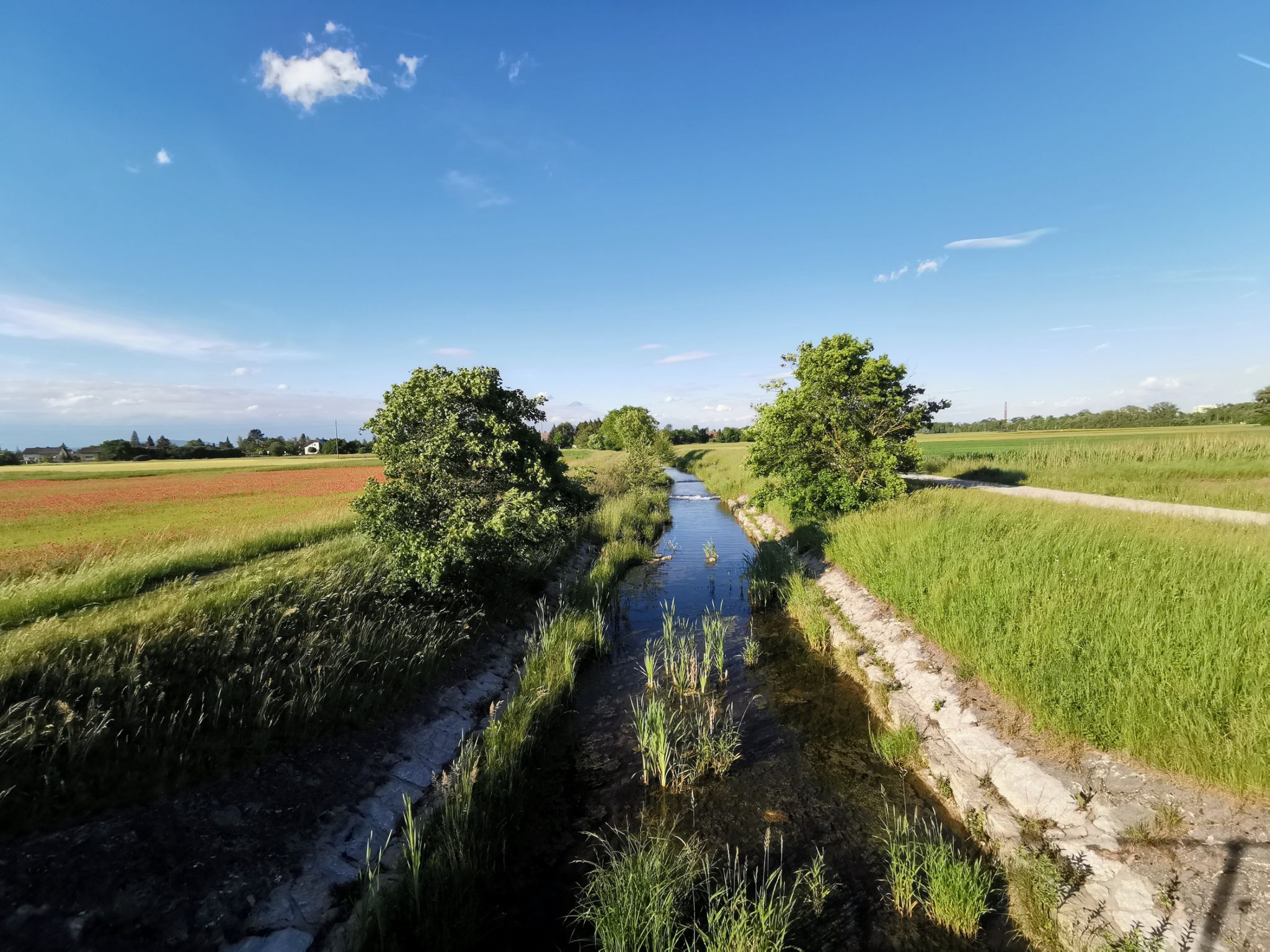 Alternative zum Radweg, der Piesting entlang.