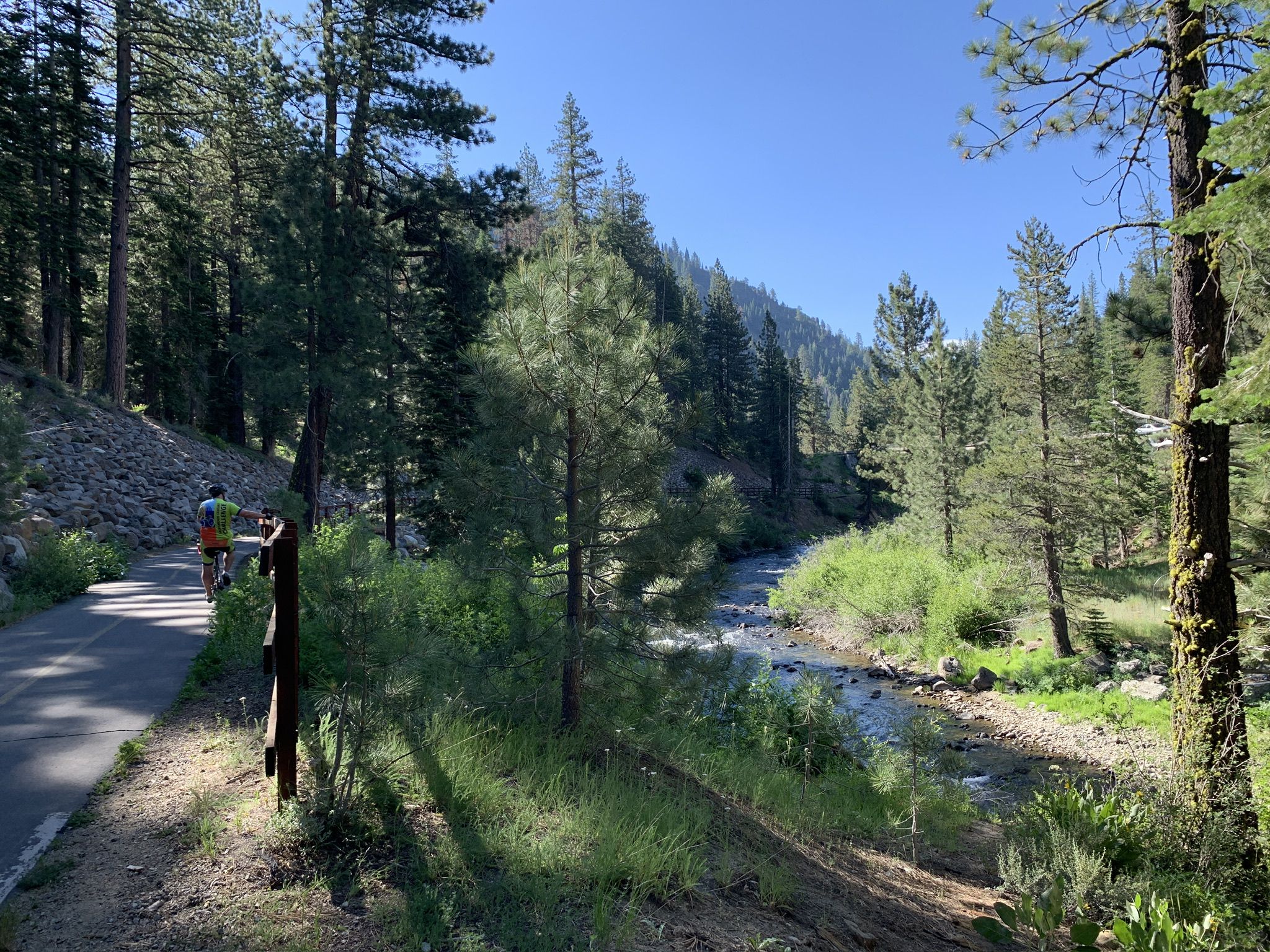 A cyclist rides a paved path beside a sunlit river and dense forest. - Tahoe City to Truckee gravel loop