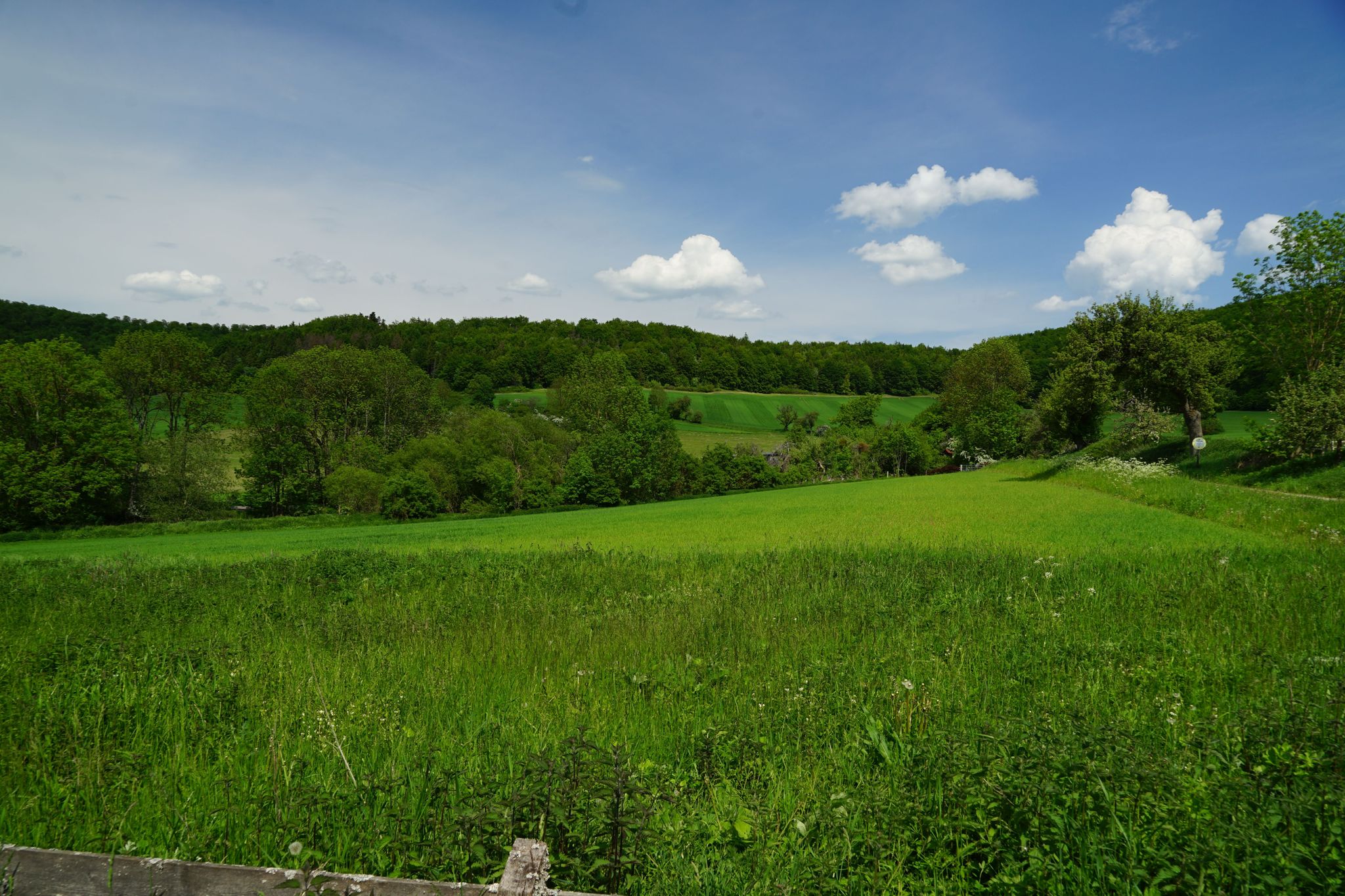 Blick in Ri. Heftenhof