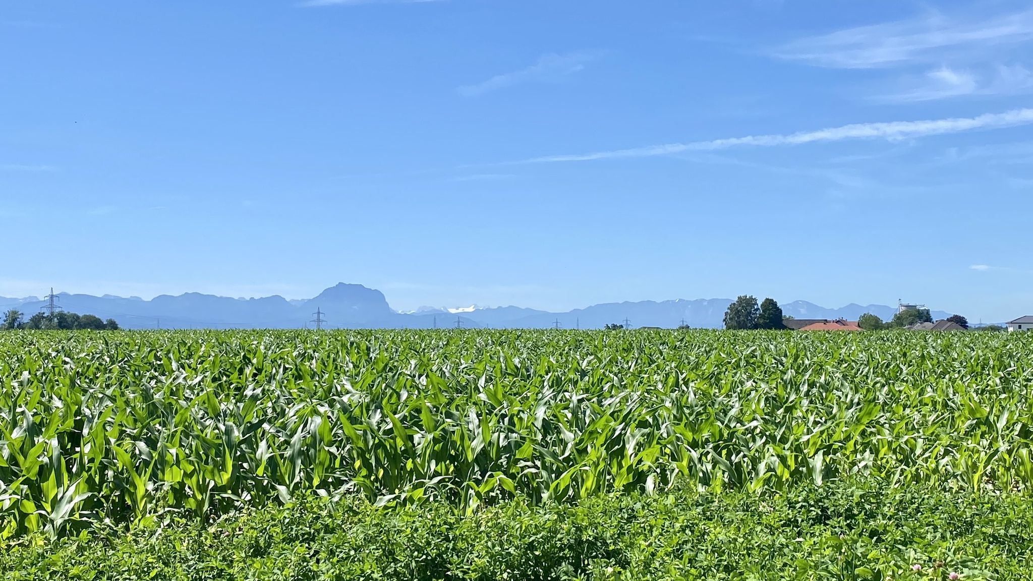 erster Alpenblick