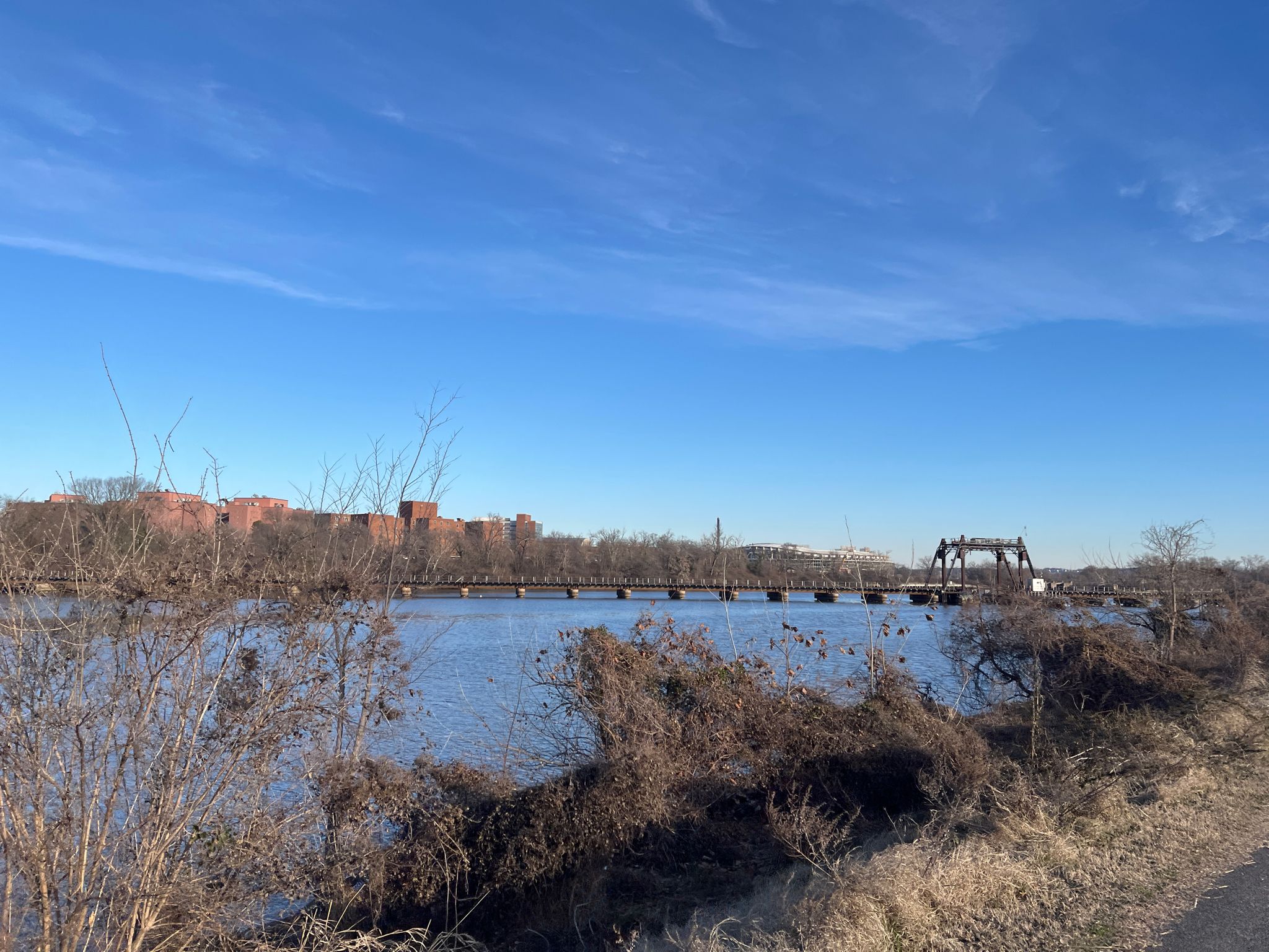 Wide river, distant bridge, bare trees, and buildings under a clear blue sky. - Northeast Branch Trail – College Park Airport loop from Washington Union Station