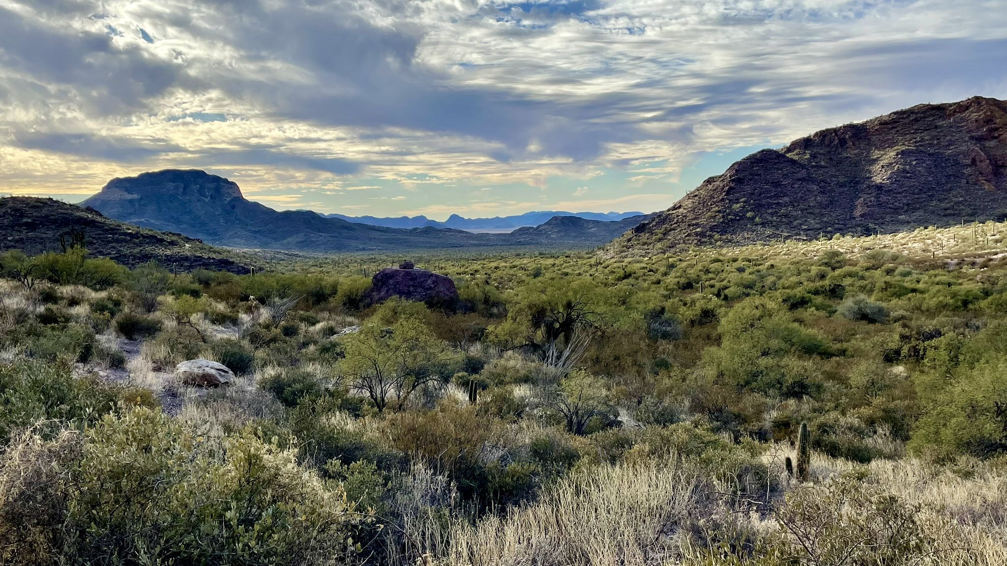 Vast desert landscape with scrub brush and distant mountains under a cloudy sky. - Arch Canyon Trail