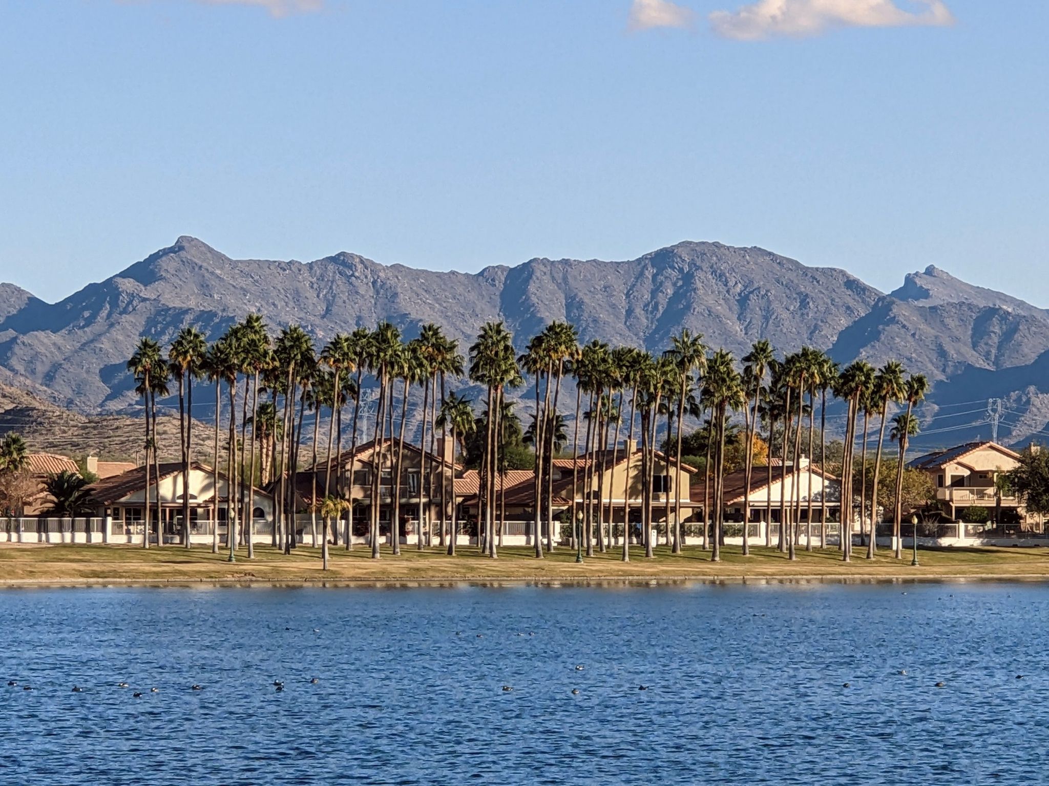 Blue lake, palm trees, houses, and large mountains under a clear sky. - Estrella North and South Lakes Loop