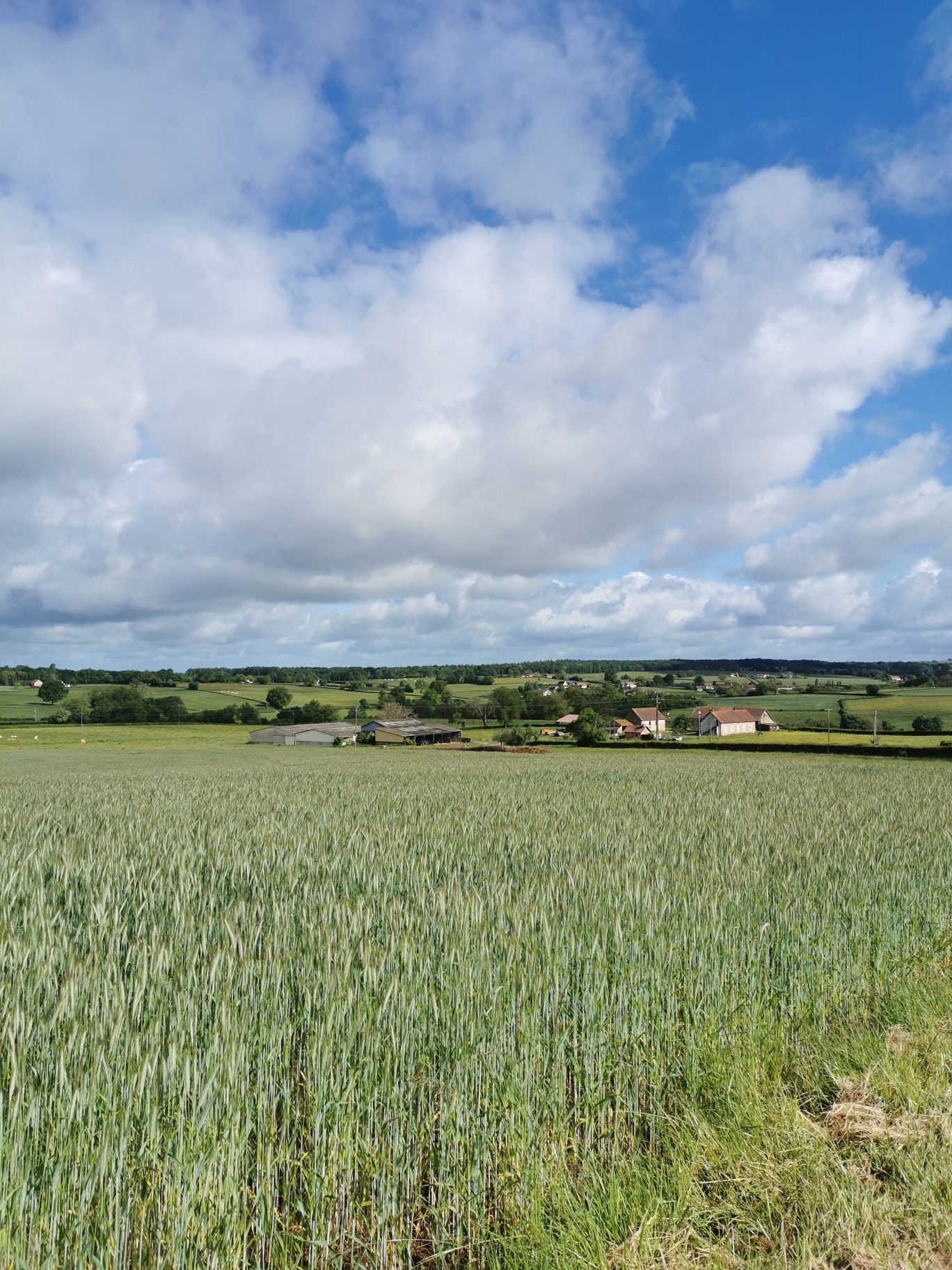 Landschaft