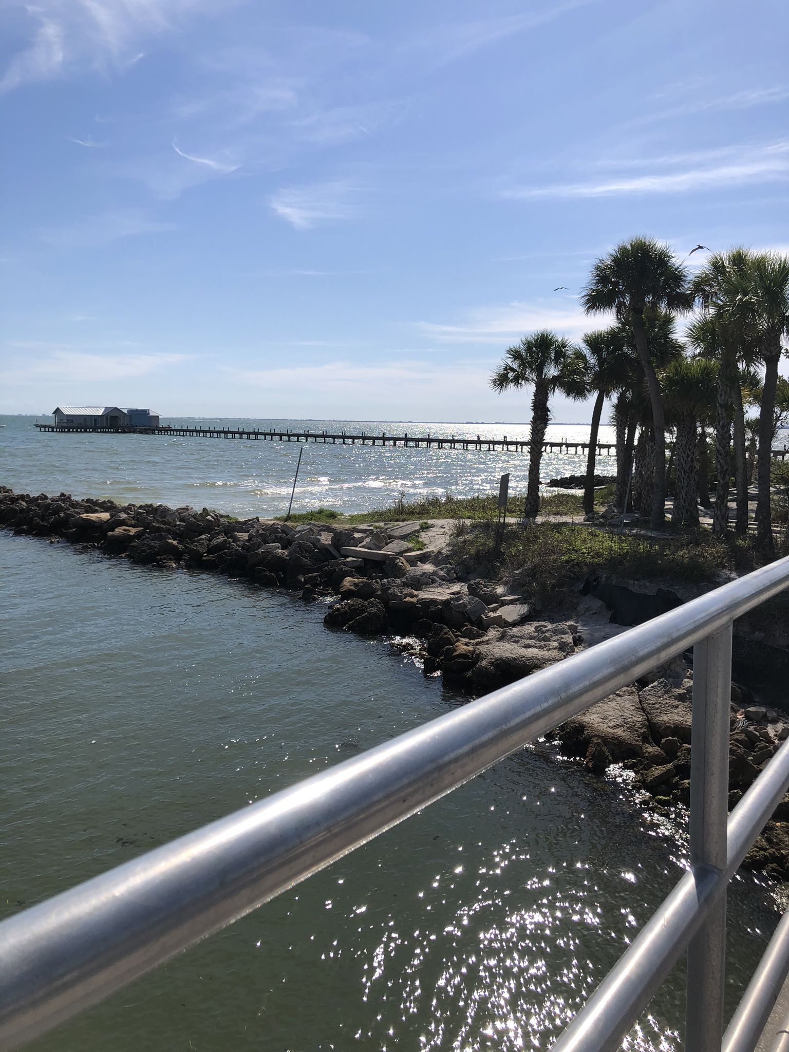 Metal railing overlooks a rocky shore, calm water, distant pier, and palm trees. - Anna Maria Bayfront Park loop from Anna Maria island