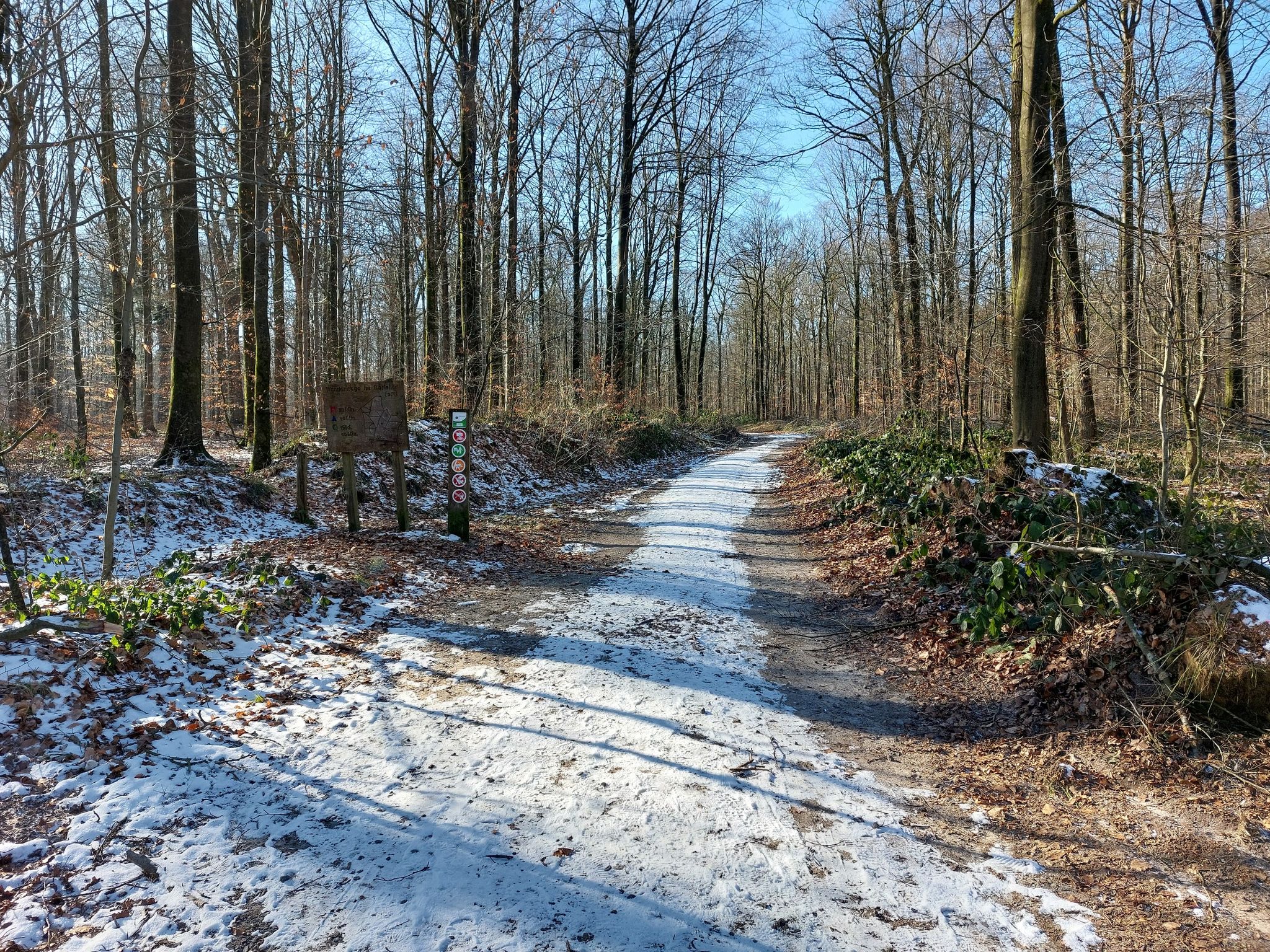 Beginn der Gelben Route im Großen Haaler Gehege