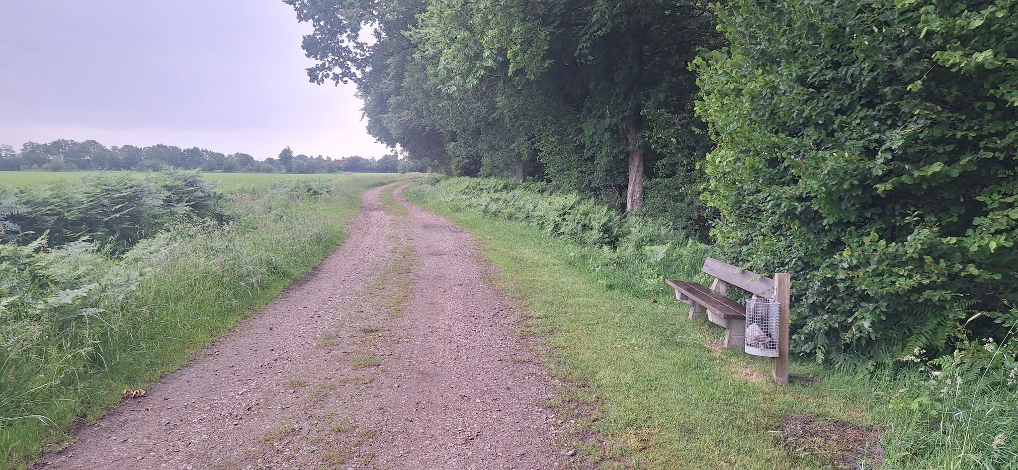 Eine gute Gelegenheit um eine Pause einzulegen 👍klasse sogar mit Müllbehälter