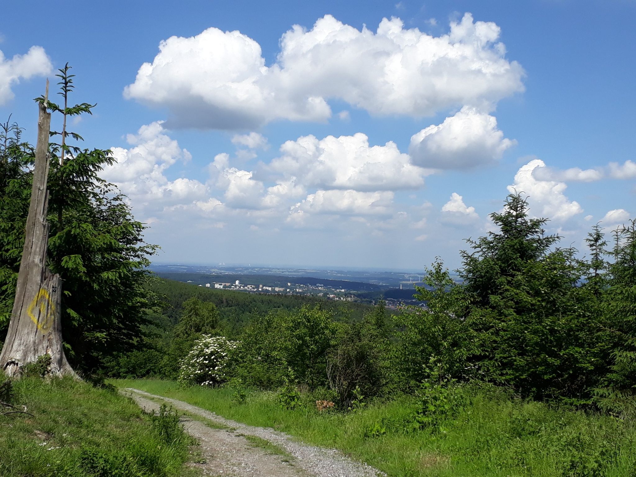 Fernblick