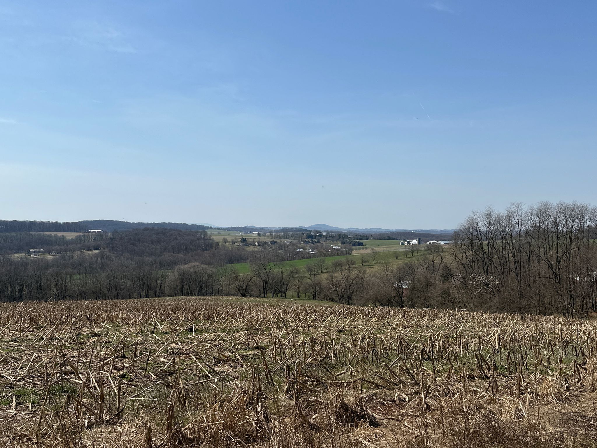 A field of dry crop stalks overlooks rolling hills and distant buildings under a clear sky. - Ontelaunee Reading Watershed loop