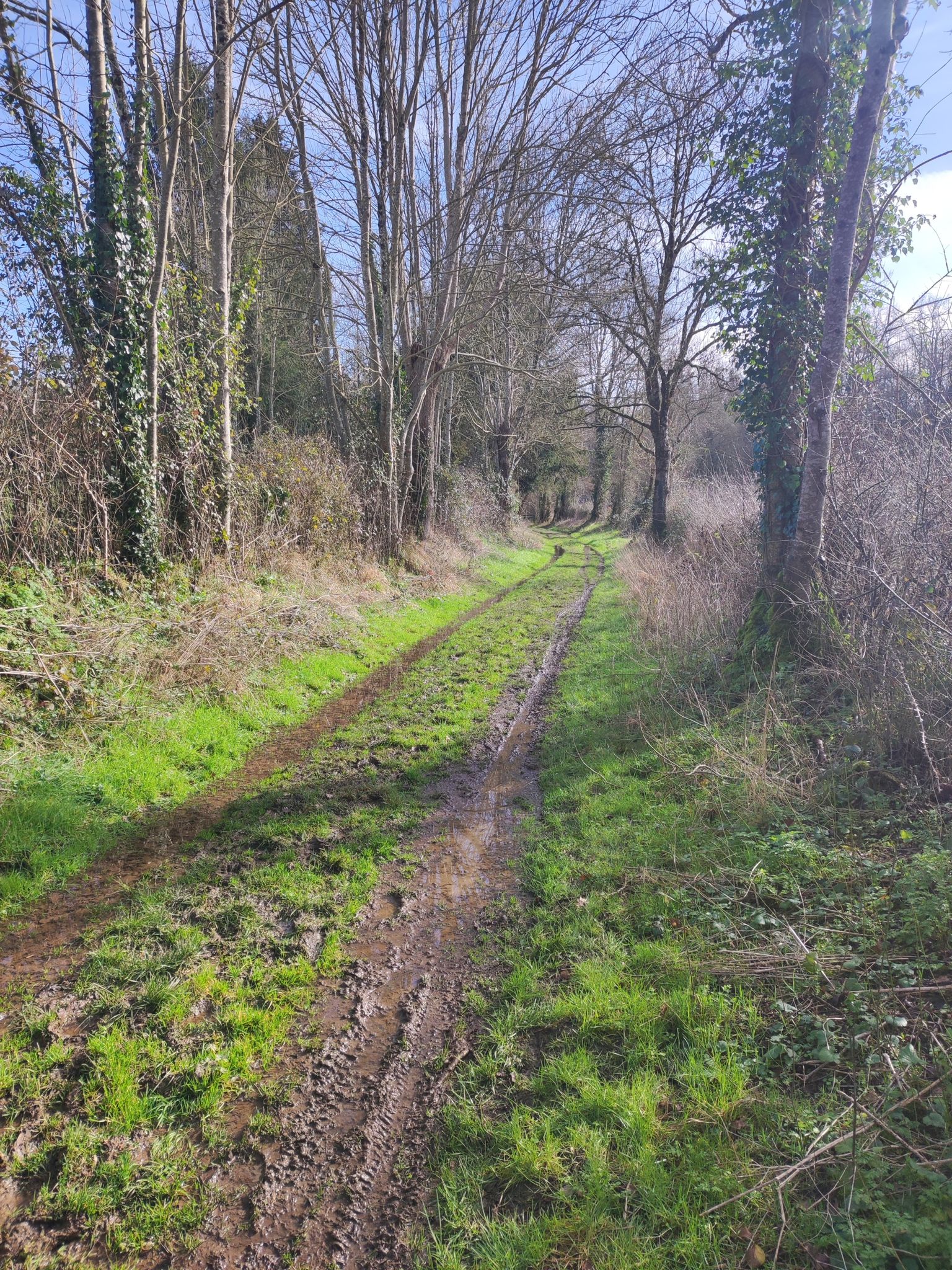 chemin très glissant