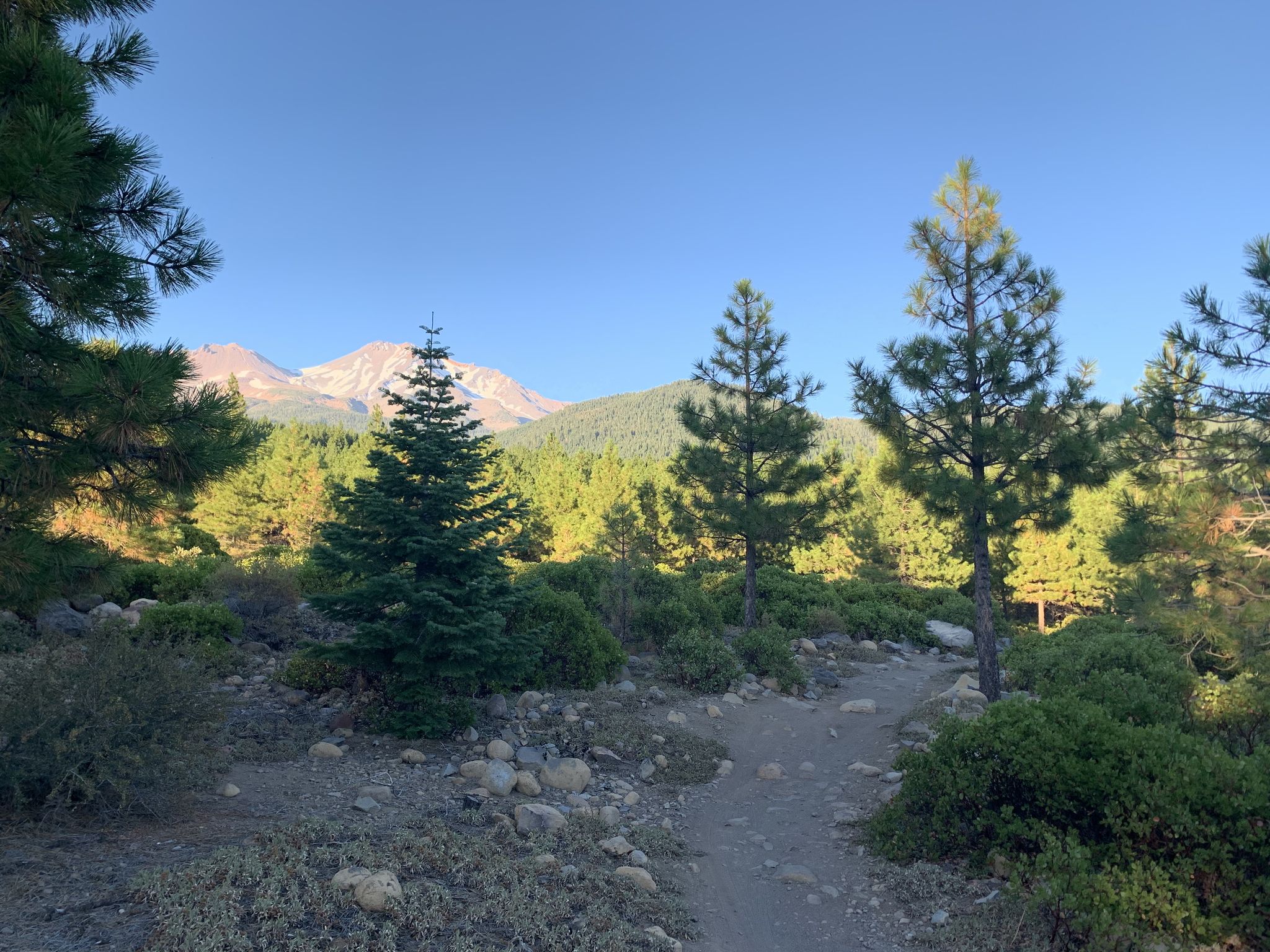 A rocky dirt path leads through a sunny forest towards snow-capped mountains. - Gateway Trail and Tunnel Trail Loop
