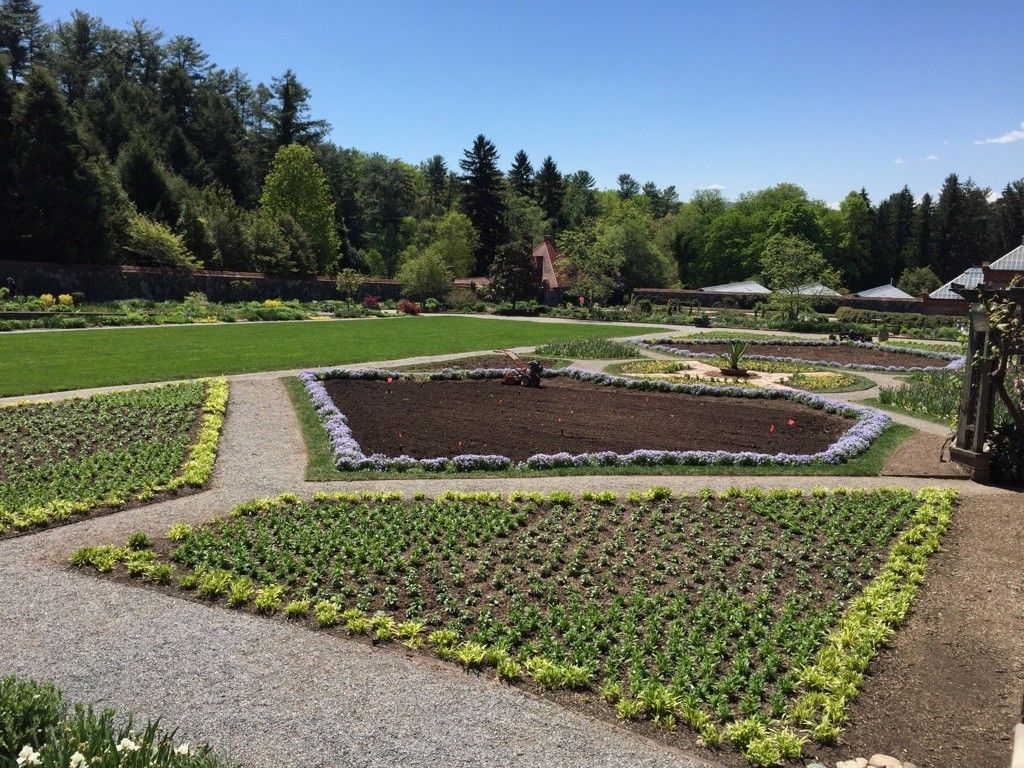 Formal garden beds with young plants and gravel paths, surrounded by trees. - Gardens loop