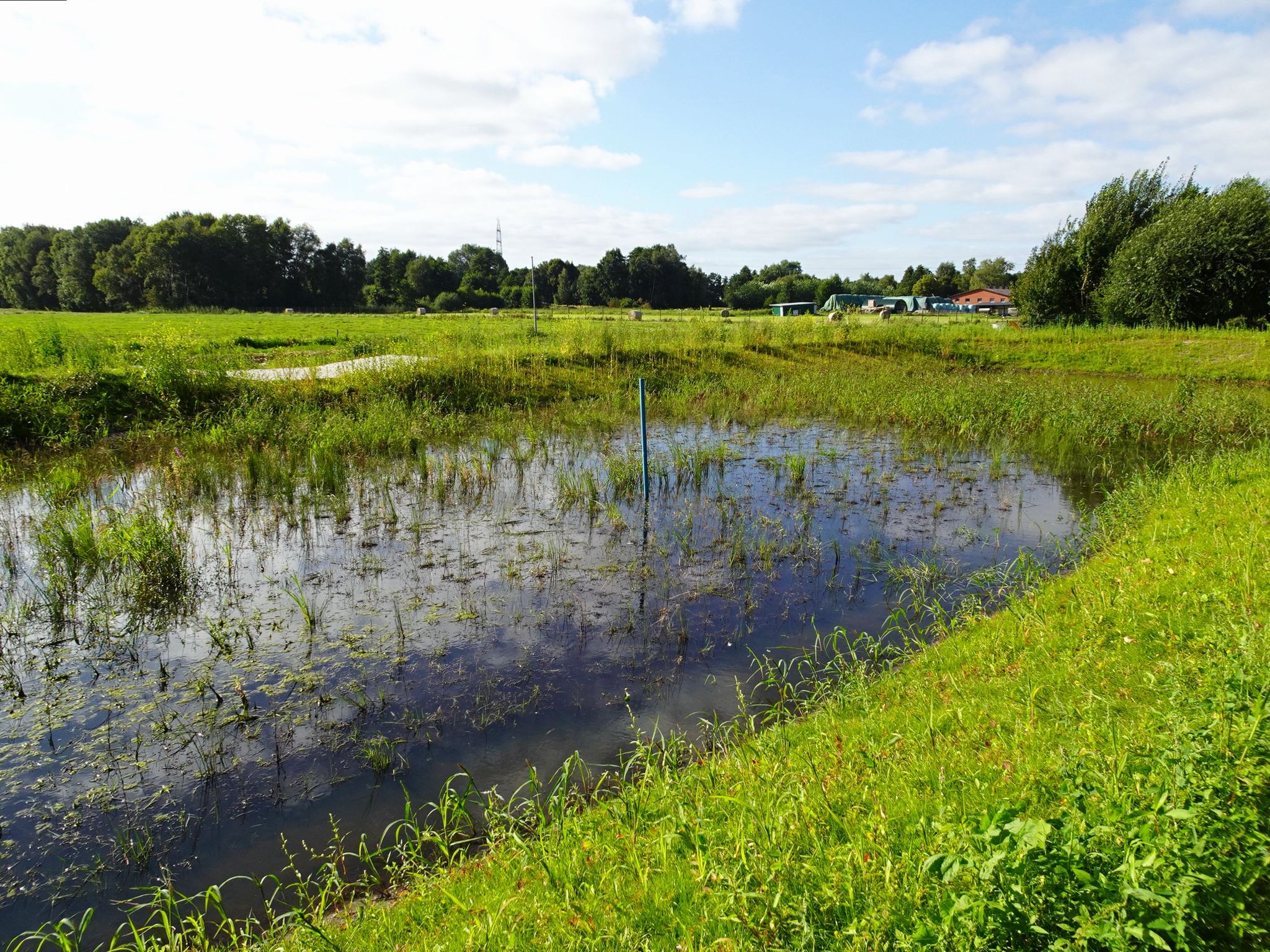 Neues Regenrückhaltebecken, dahinter der Königsdamm