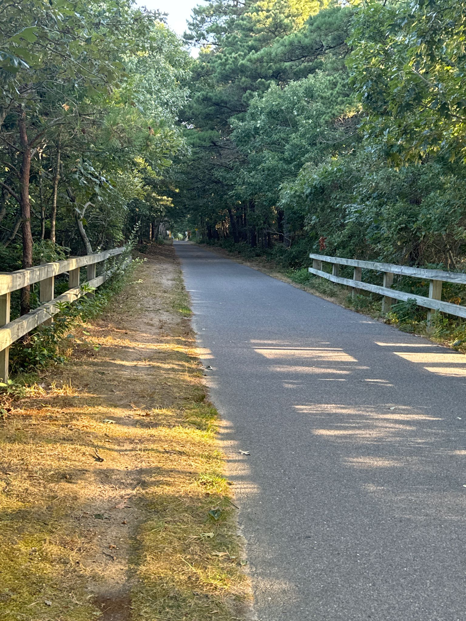 A paved path with wooden fences on both sides leads through a sunny forest. - Arnold's Lobster & Clam Bar – Cedar Pond loop from North Eastham