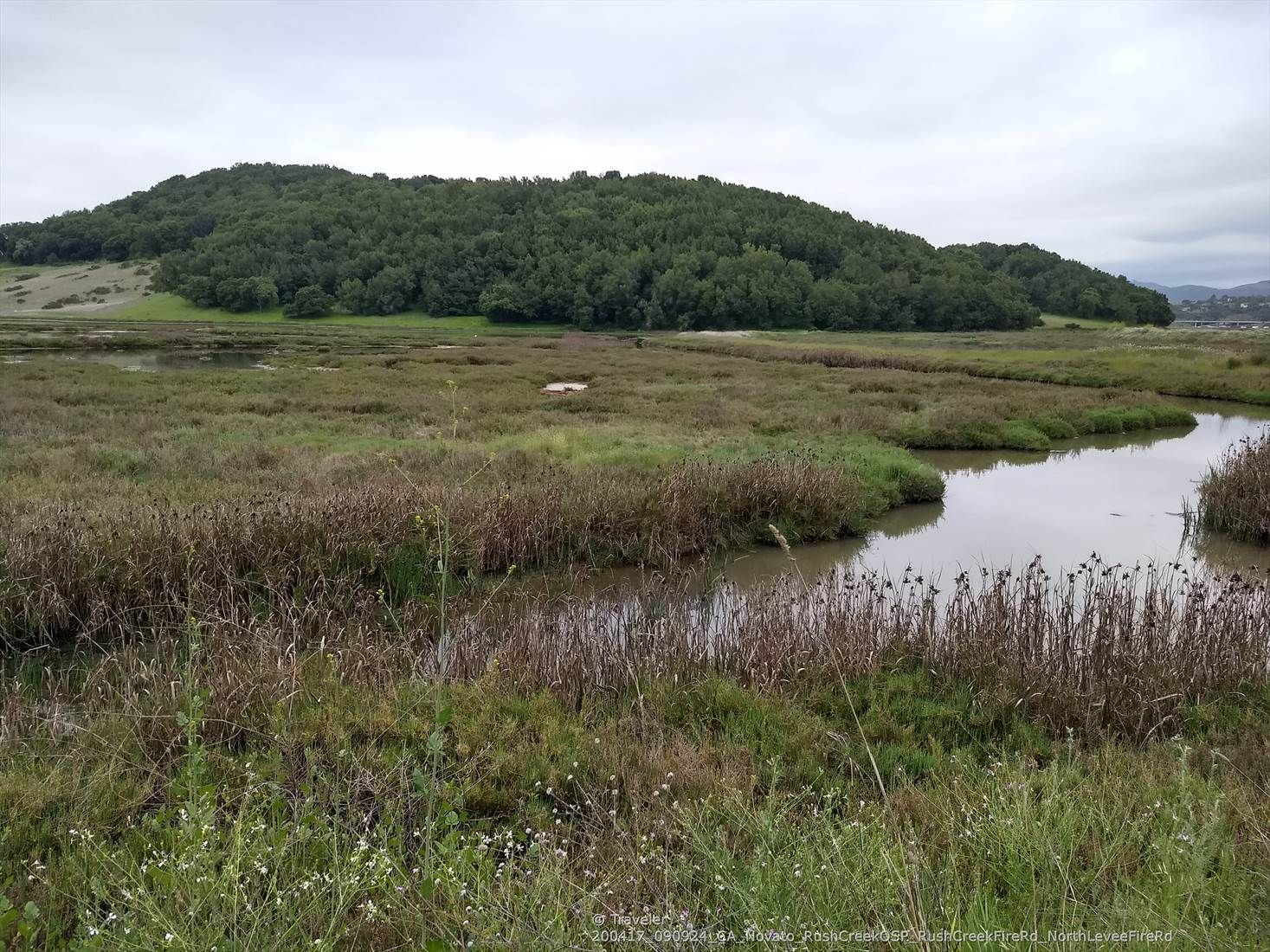 Overcast view of marshland with a winding creek and wooded hills. - Rush Creek and Bahia Trail Loop