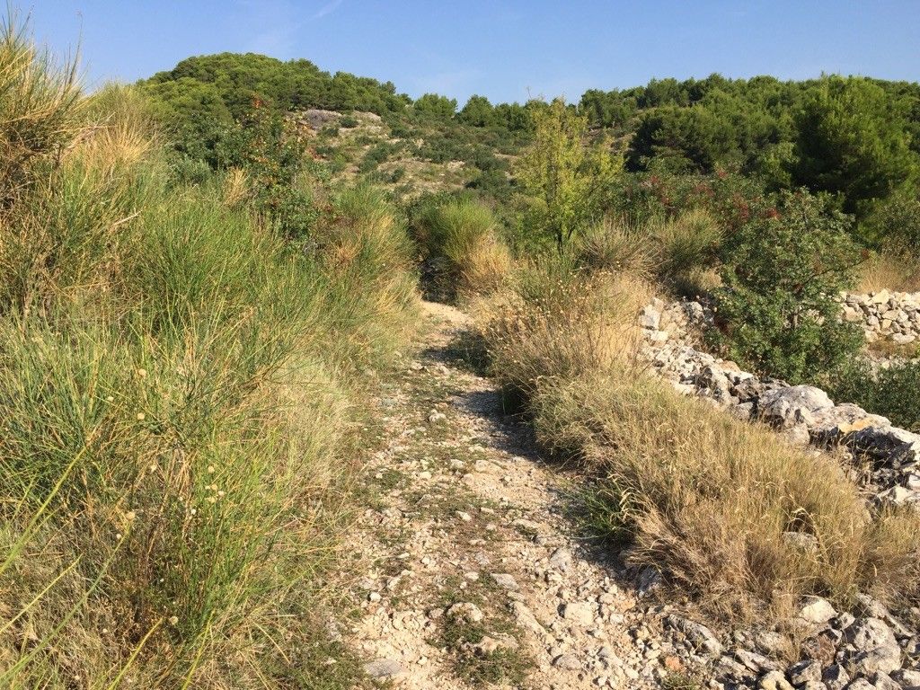 Der Radweg