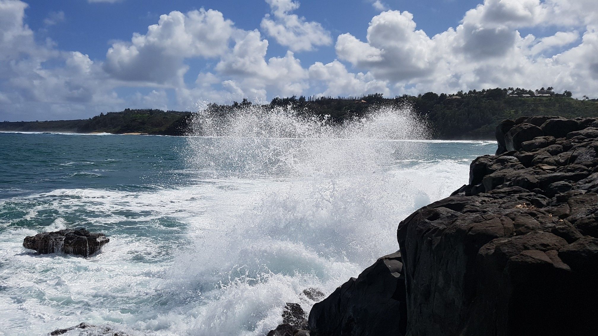 A large wave dramatically crashes against dark coastal rocks. - Mokolea Point Trail
