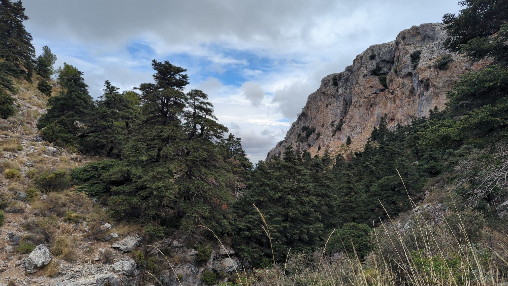 Cañada de la Cuesta de los Hornillos