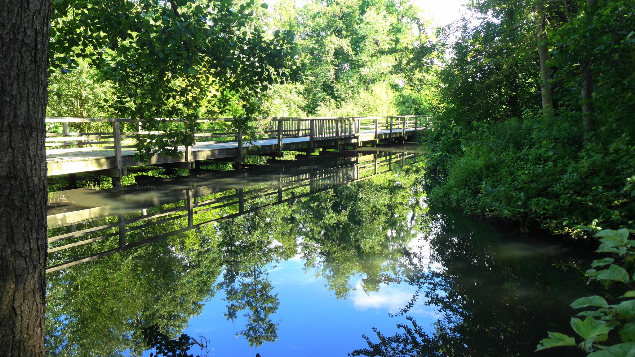 Park im Zentrum von Harsefeld