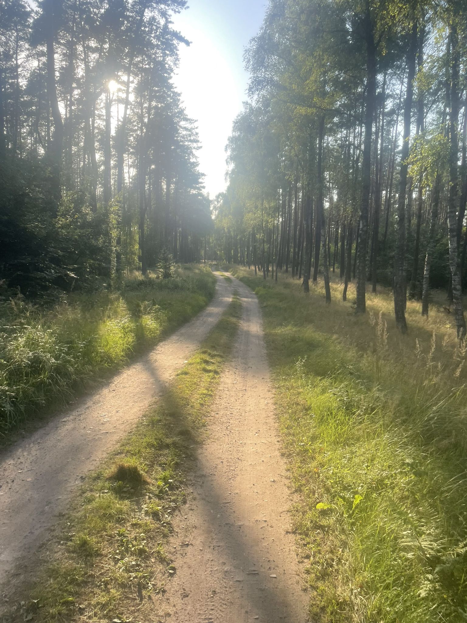 i leśnymi ścieżkami.