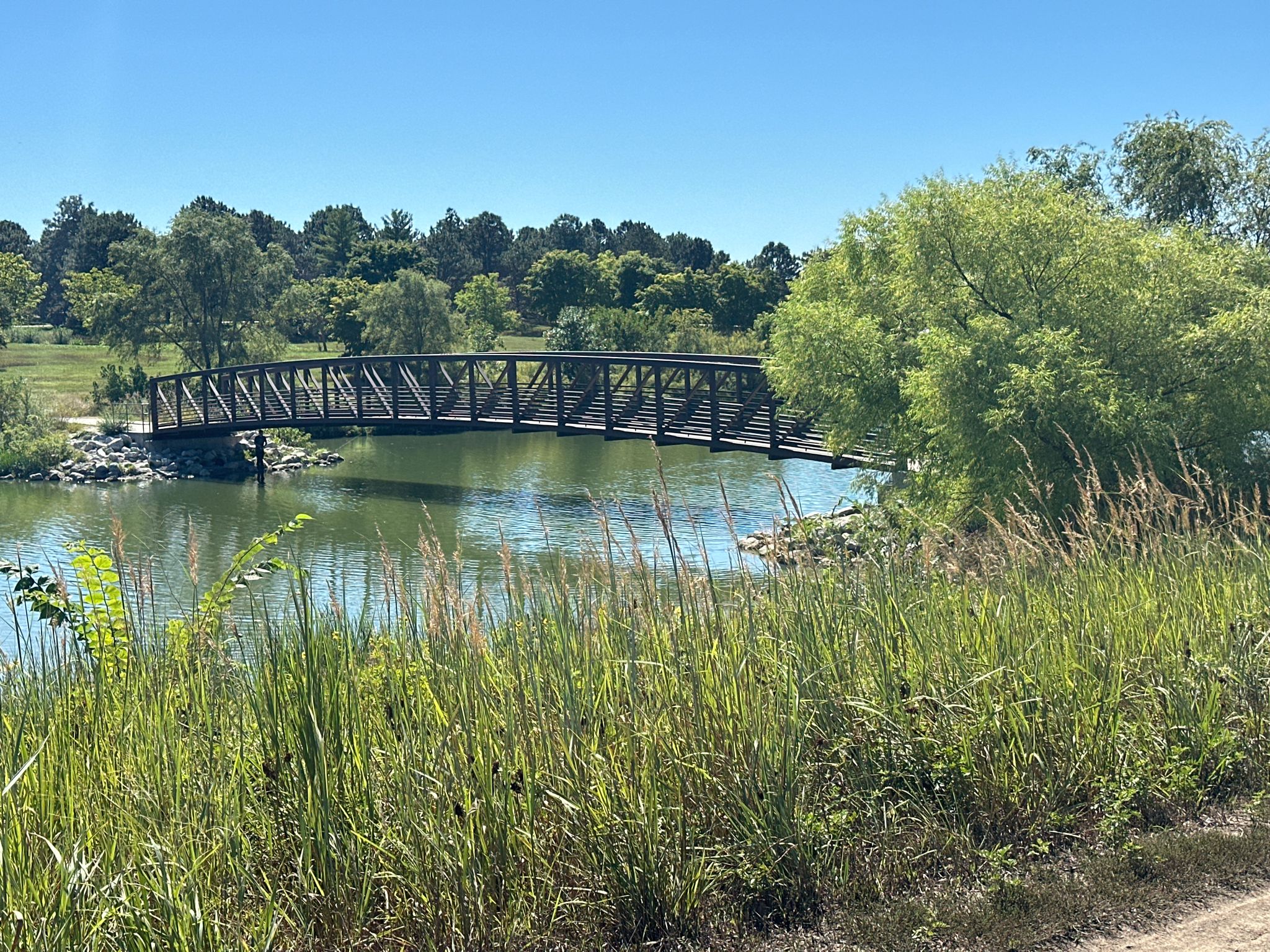 A dark pedestrian bridge spans calm water, surrounded by green trees and tall grass. - Holmes Lake Park loop
