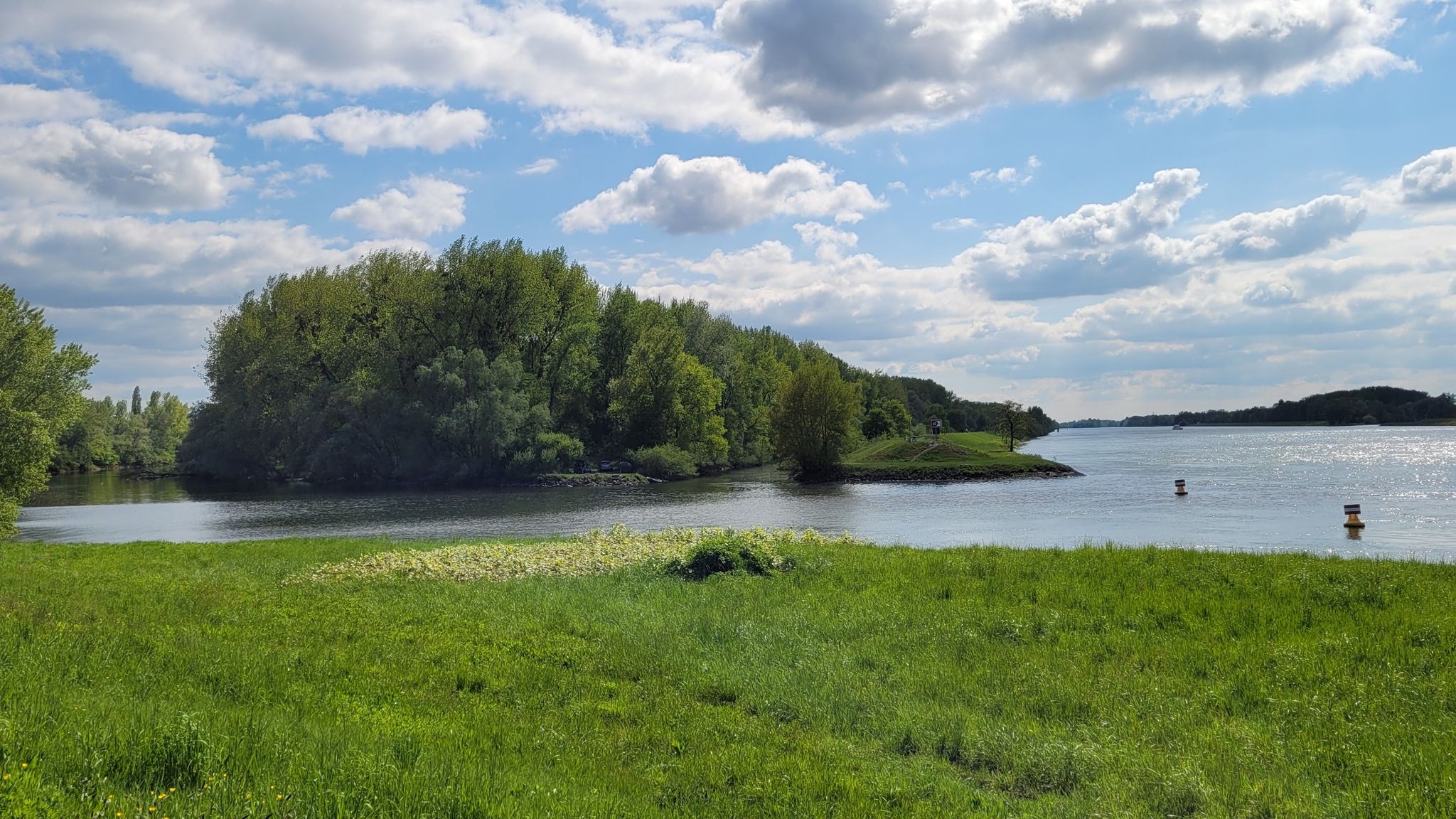 Rench fließt in Rhein