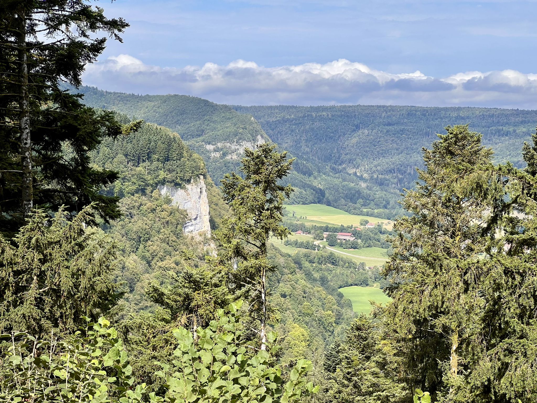 kurzer Ausblick ins Tal