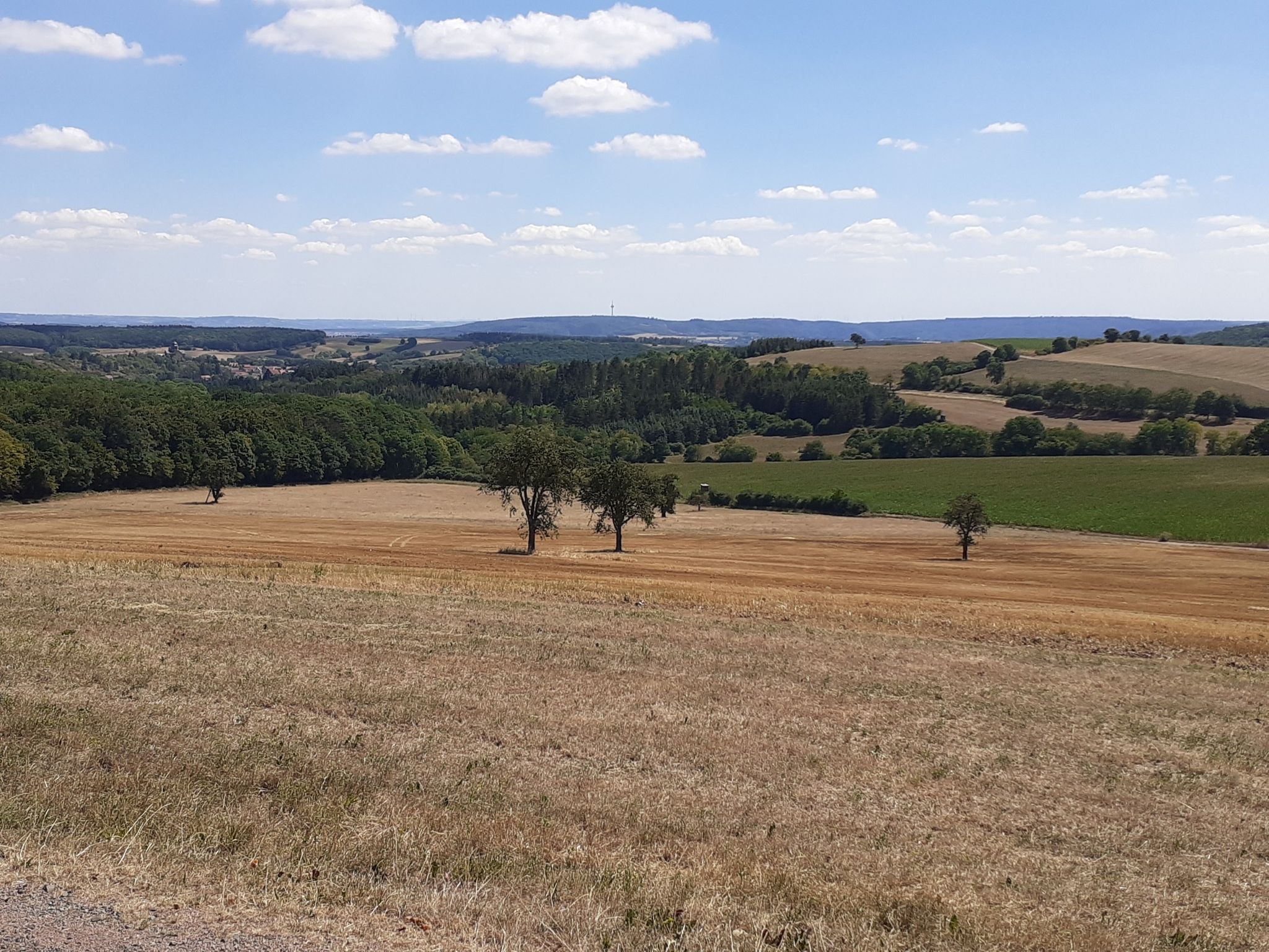 Die Aussicht von Bank 4