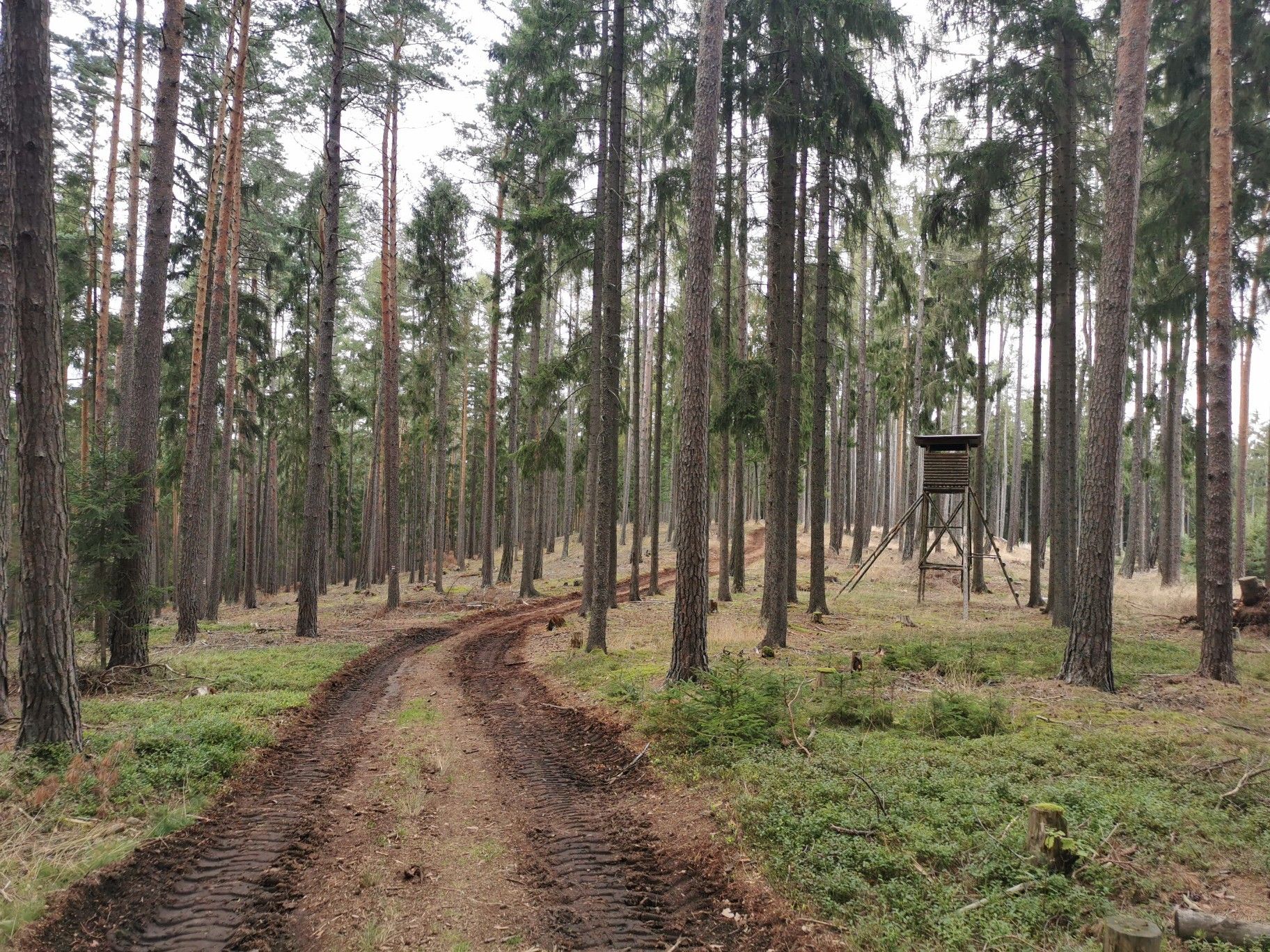 Wegabschnitt